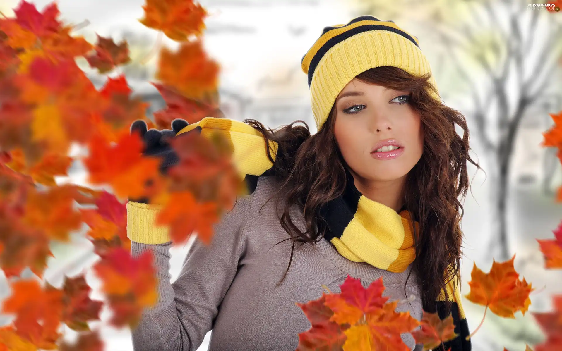 Autumn, Leaf, Hat, Scarf, girl