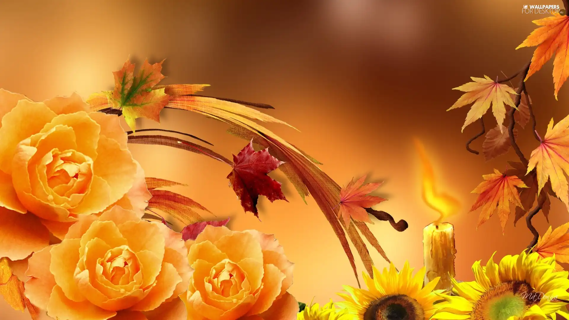 autumn, Nice sunflowers, Leaf, roses