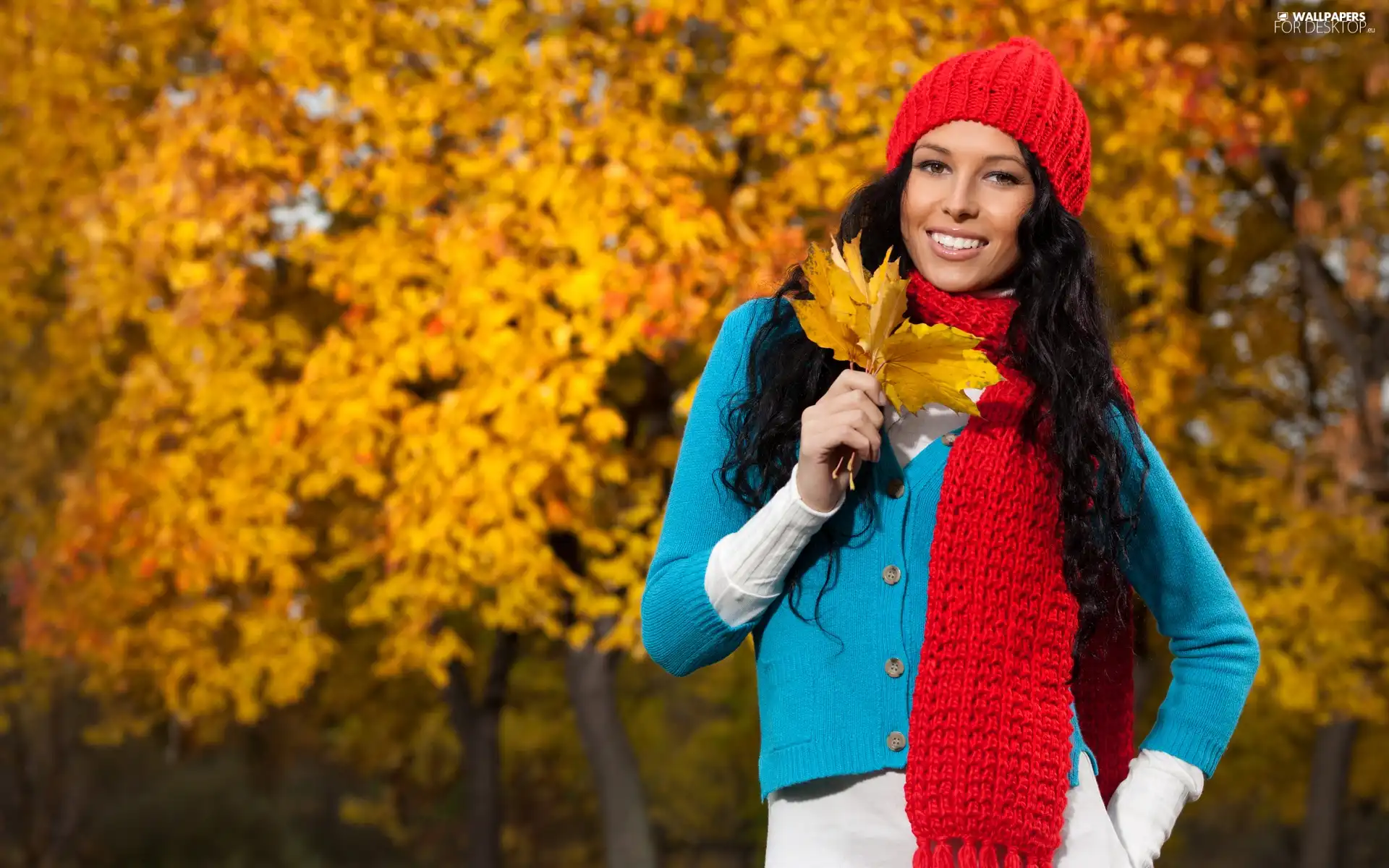 brunette, autumn, Leaf, Park