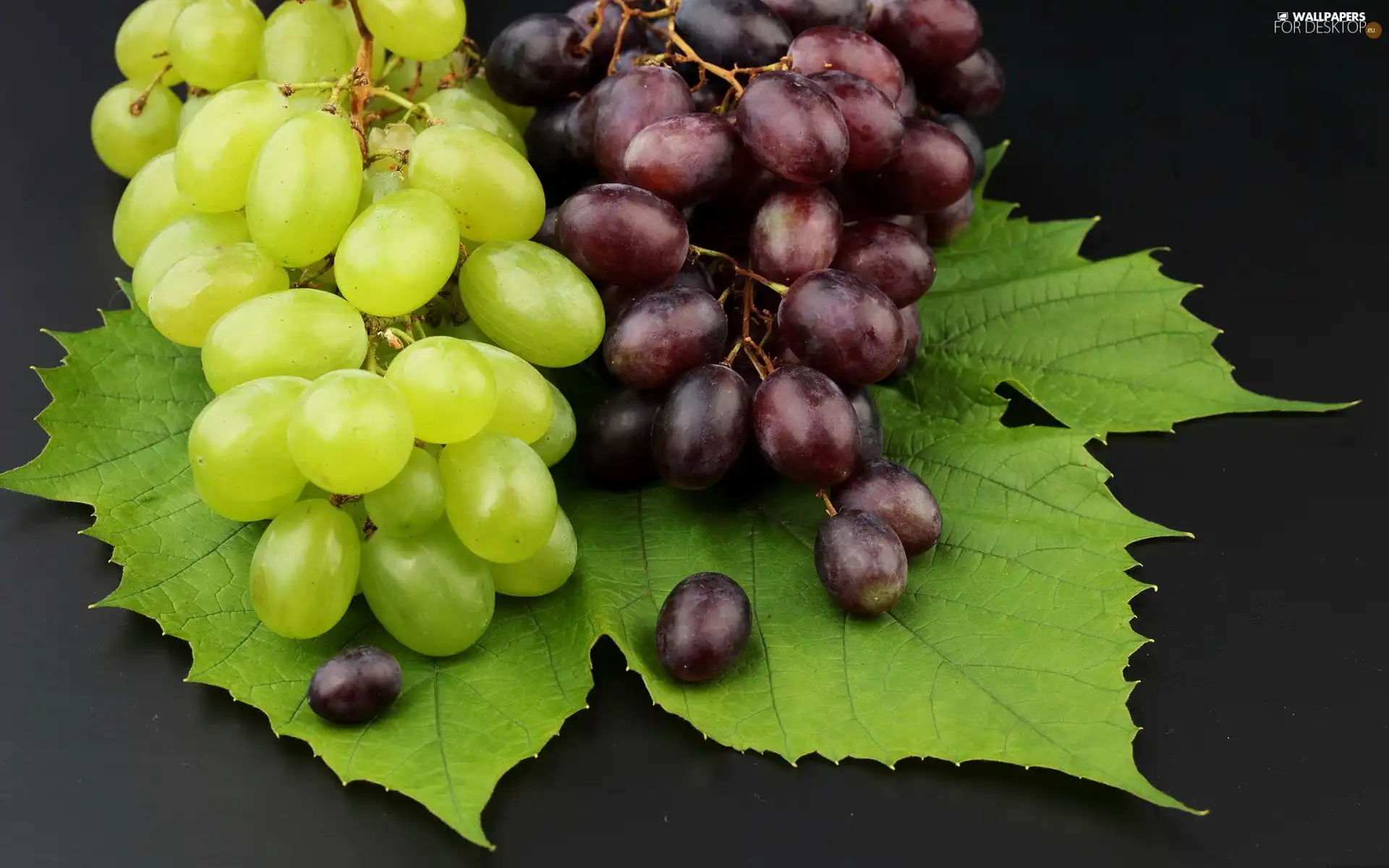 Grapes, leaf