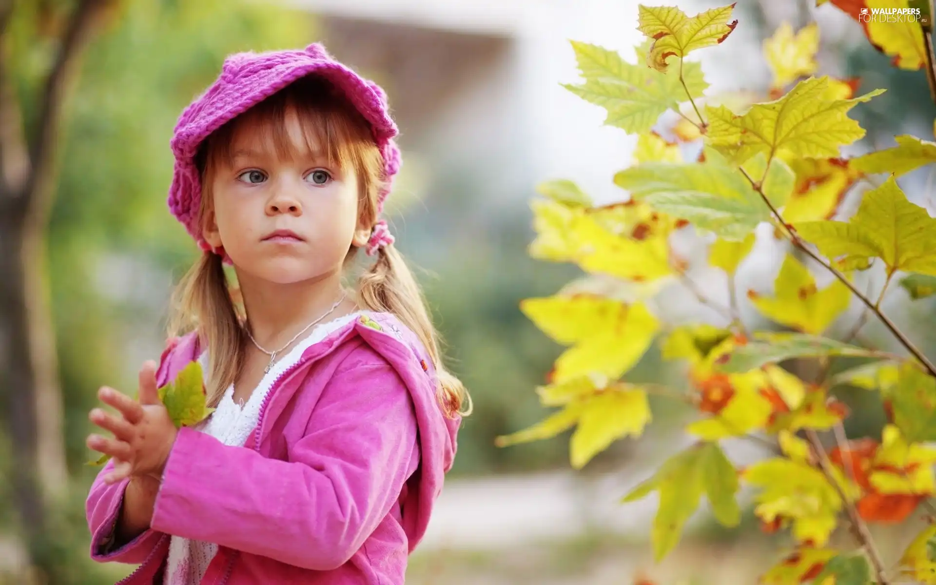 Leaf, girl, Hat