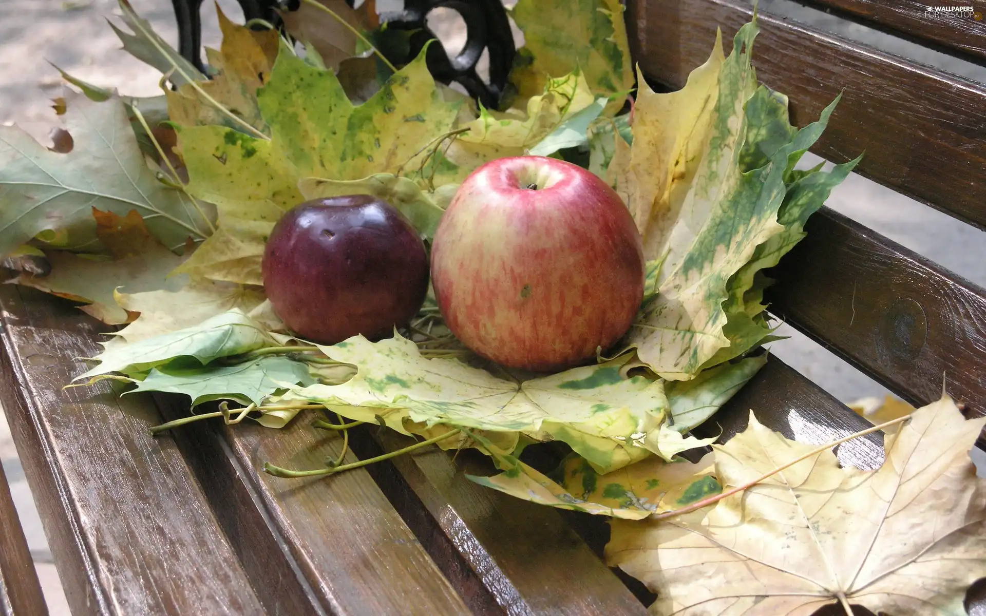 Bench, apples, Leaf, Two cars