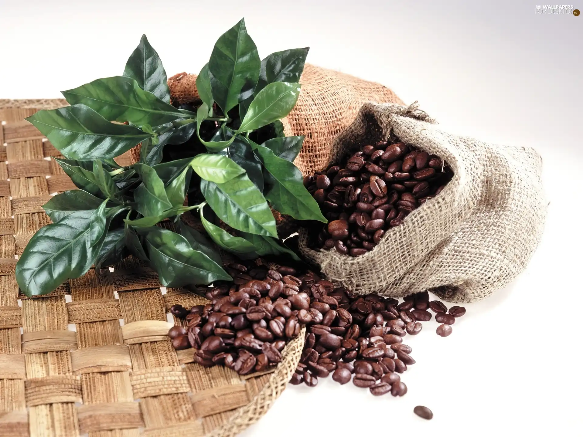 bag, coffee, leaves, grains