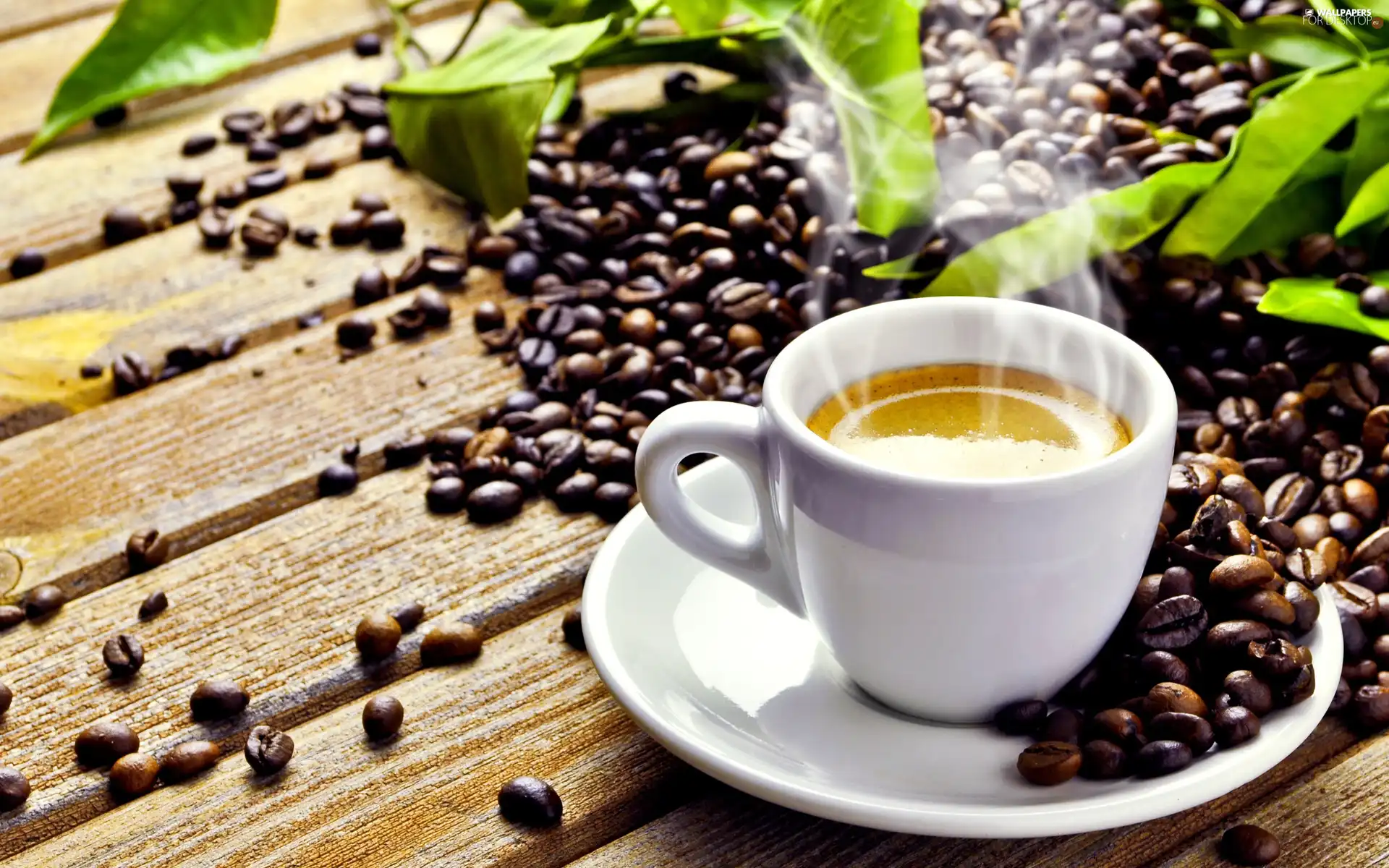 cup, grains, leaves, coffee