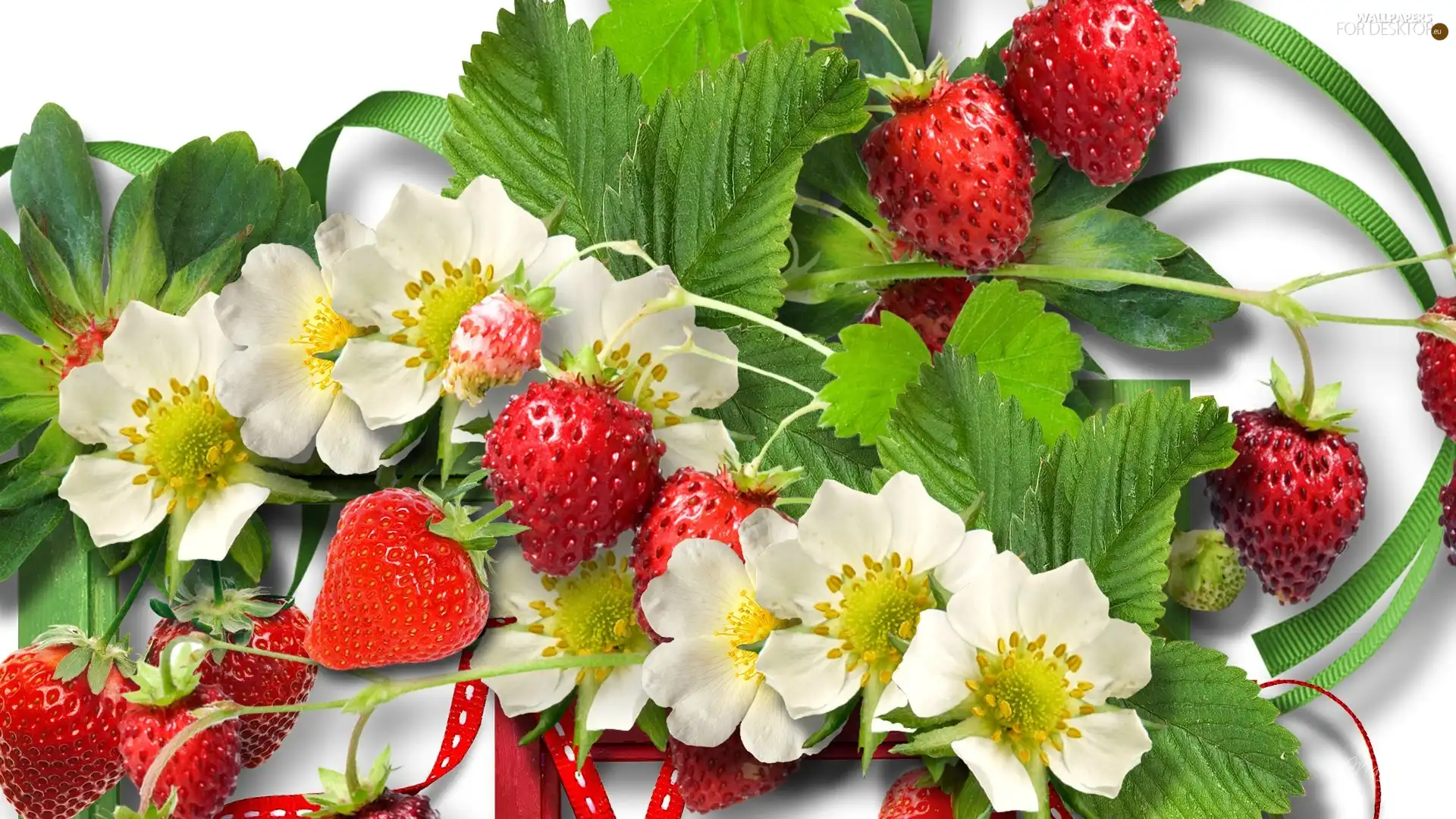 leaves, Strawberries, Flowers