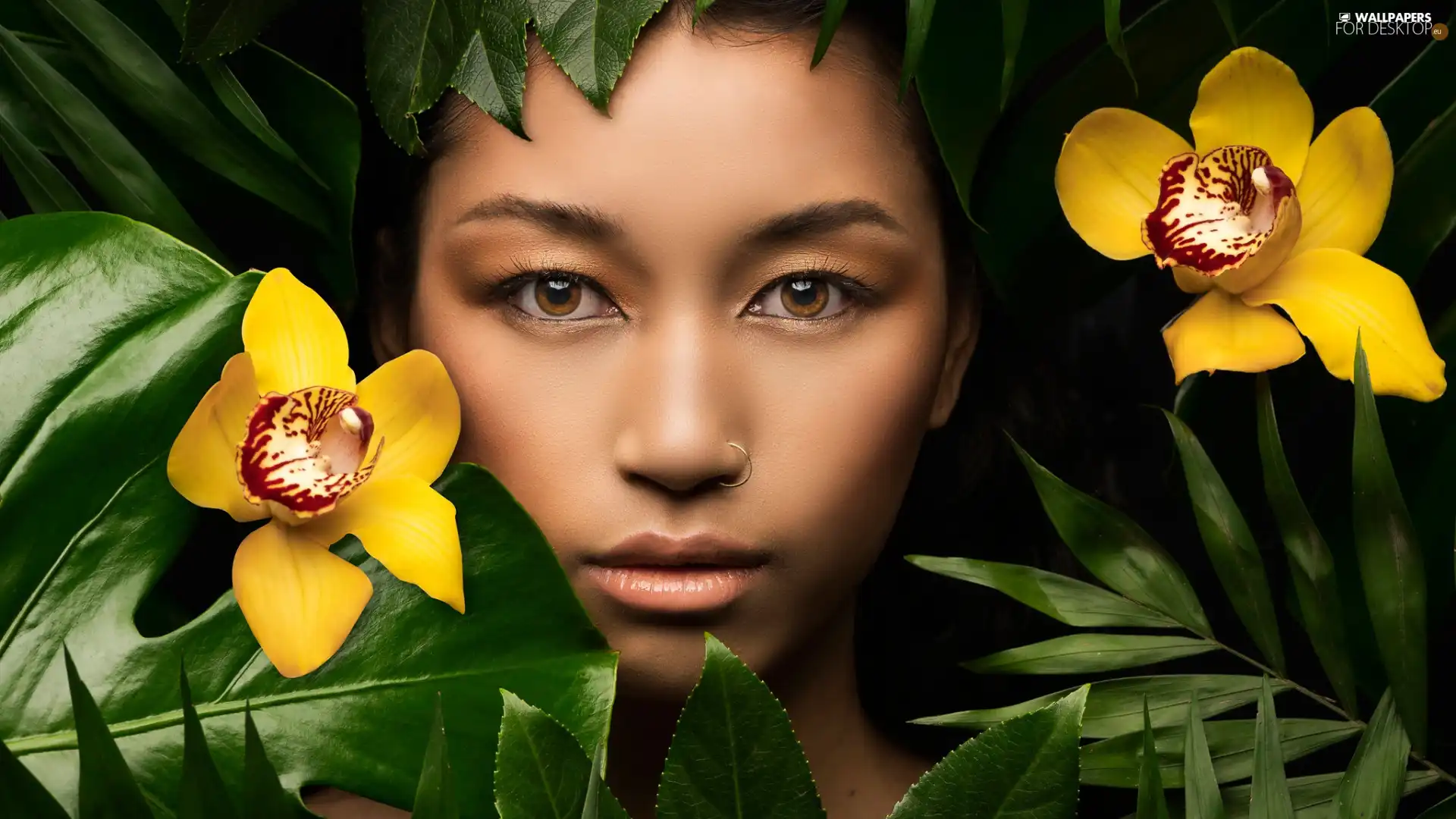 orchids, leaves, girl, Flowers, face