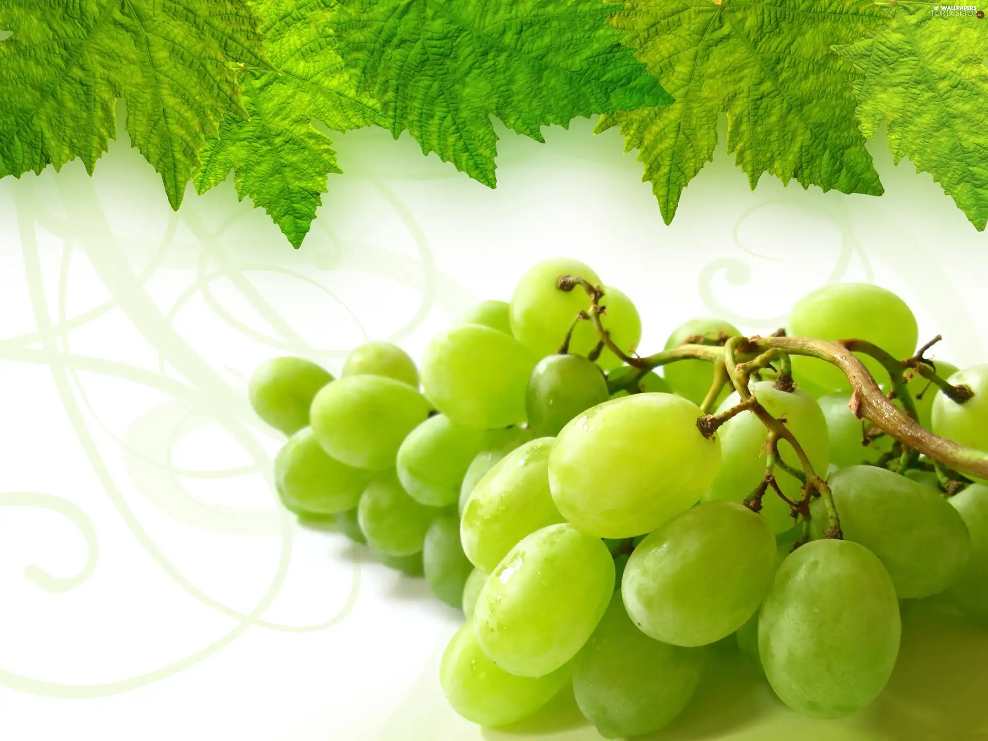 leaves, spray, grapes