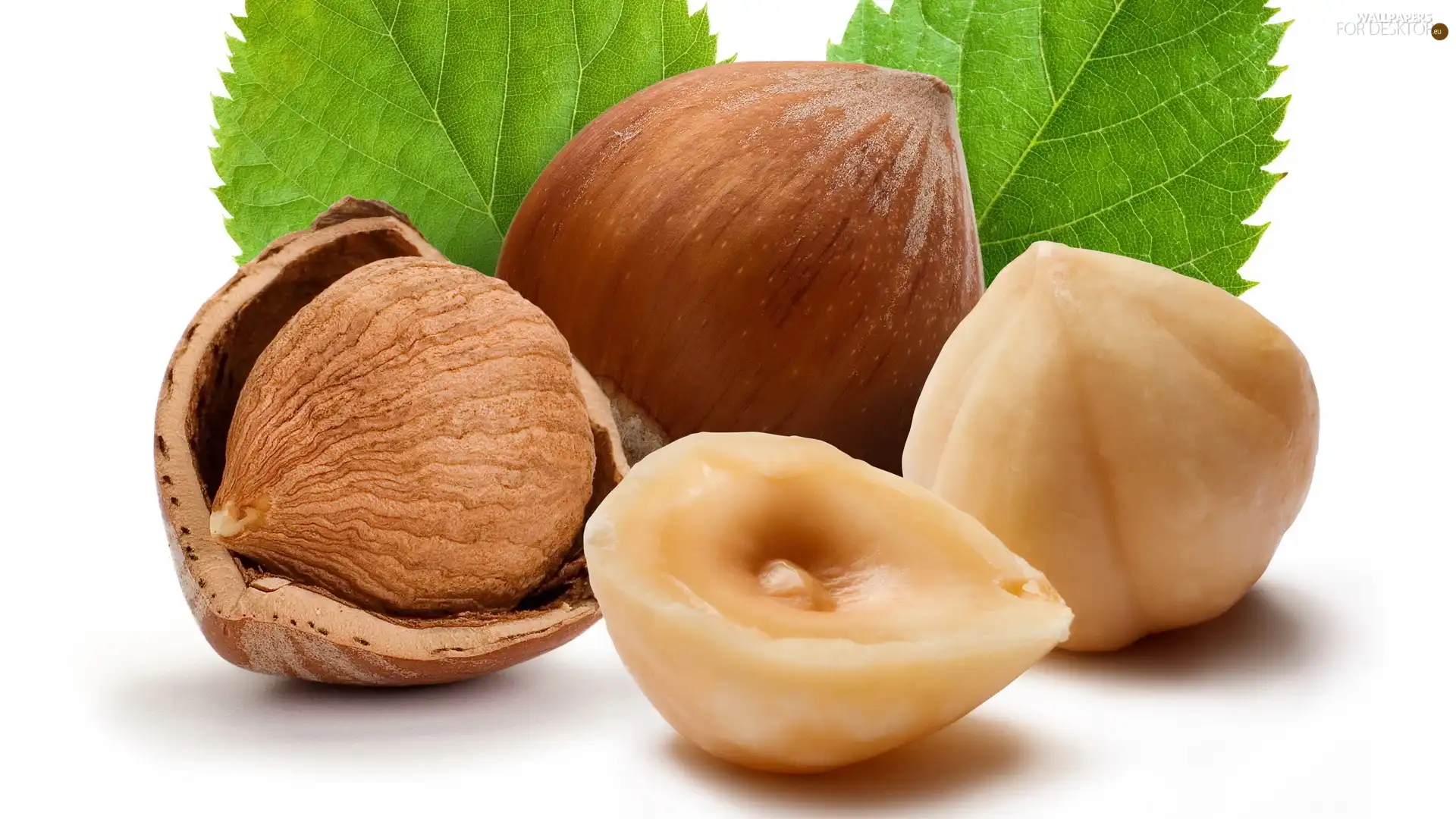 leaves, nuts, hazelnuts