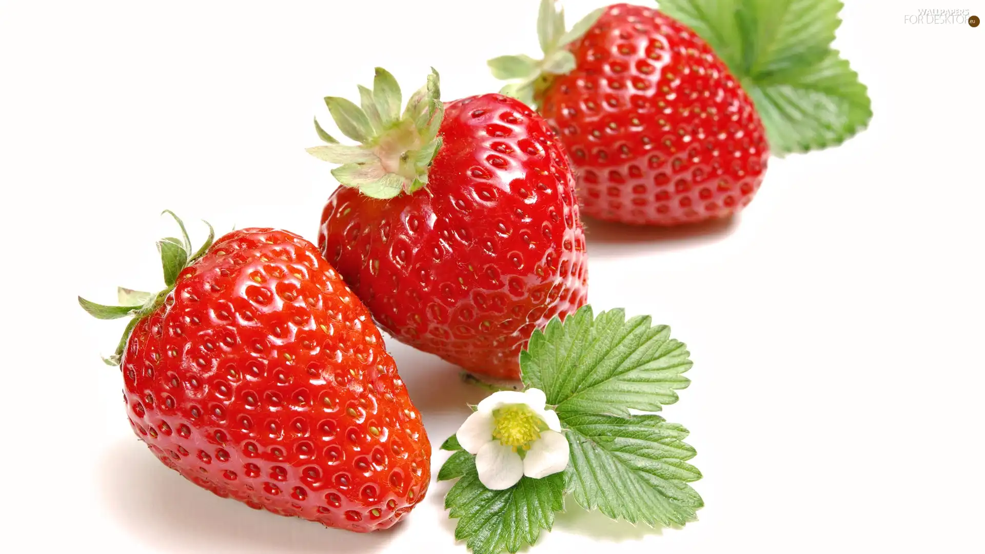 leaves, Three, strawberries