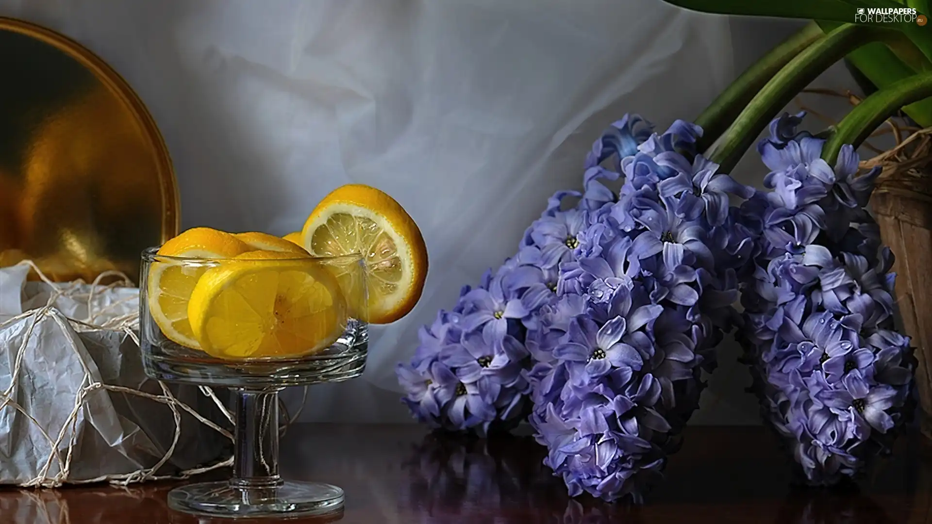 lemons, Hyacinths, glass