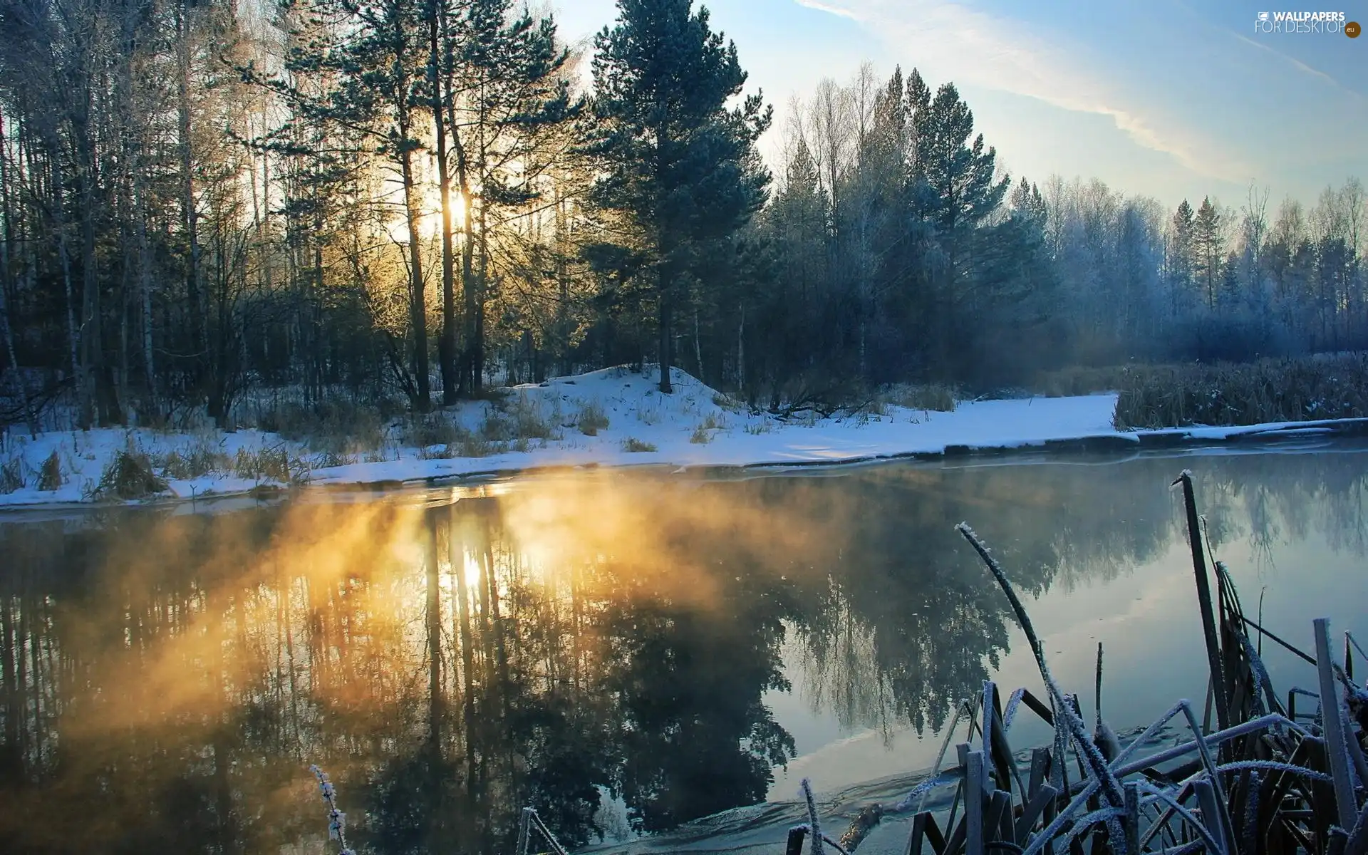 Przebijające, ligh, winter, sun, luminosity, forest, River, flash