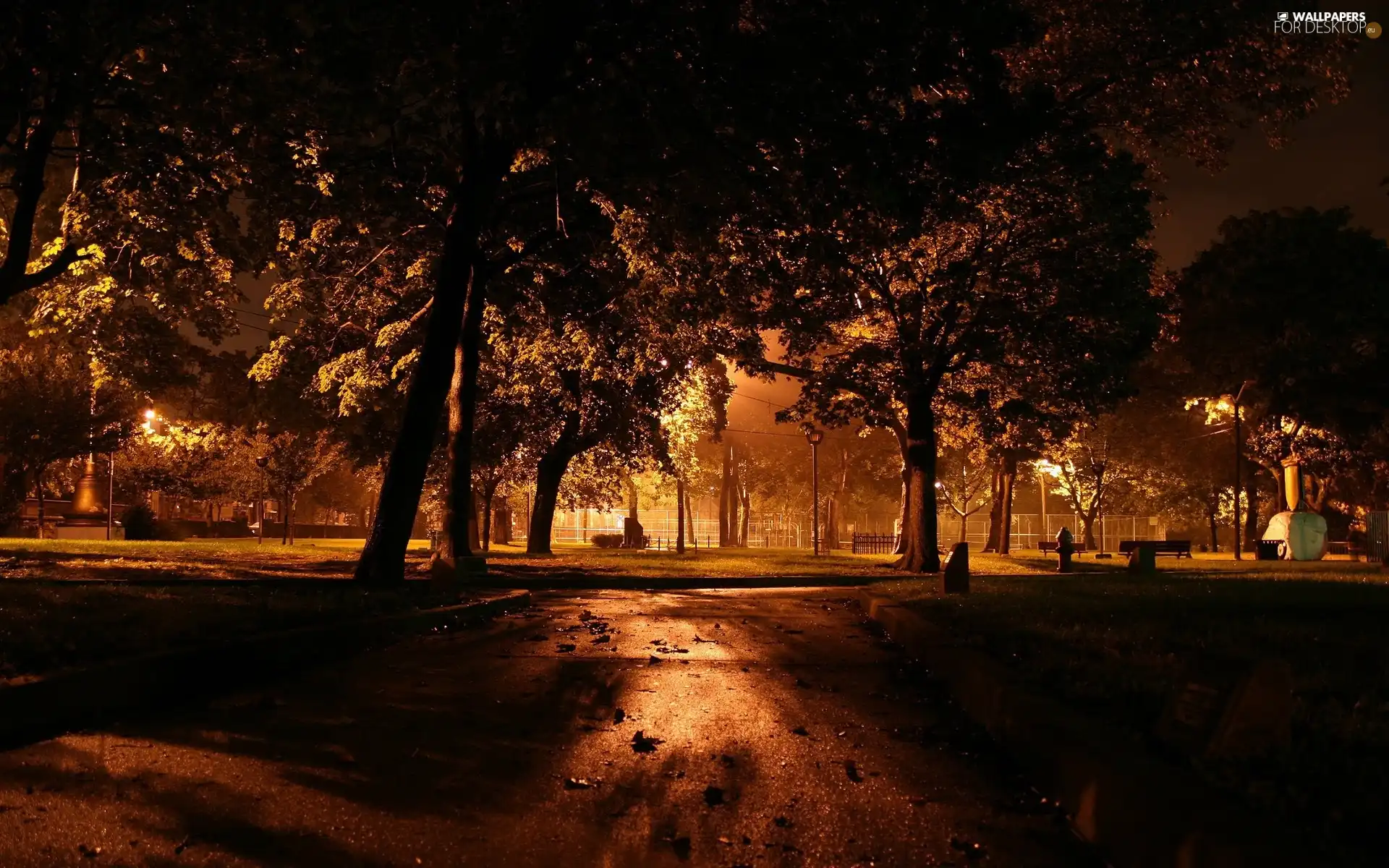 Park, Night, light, alley