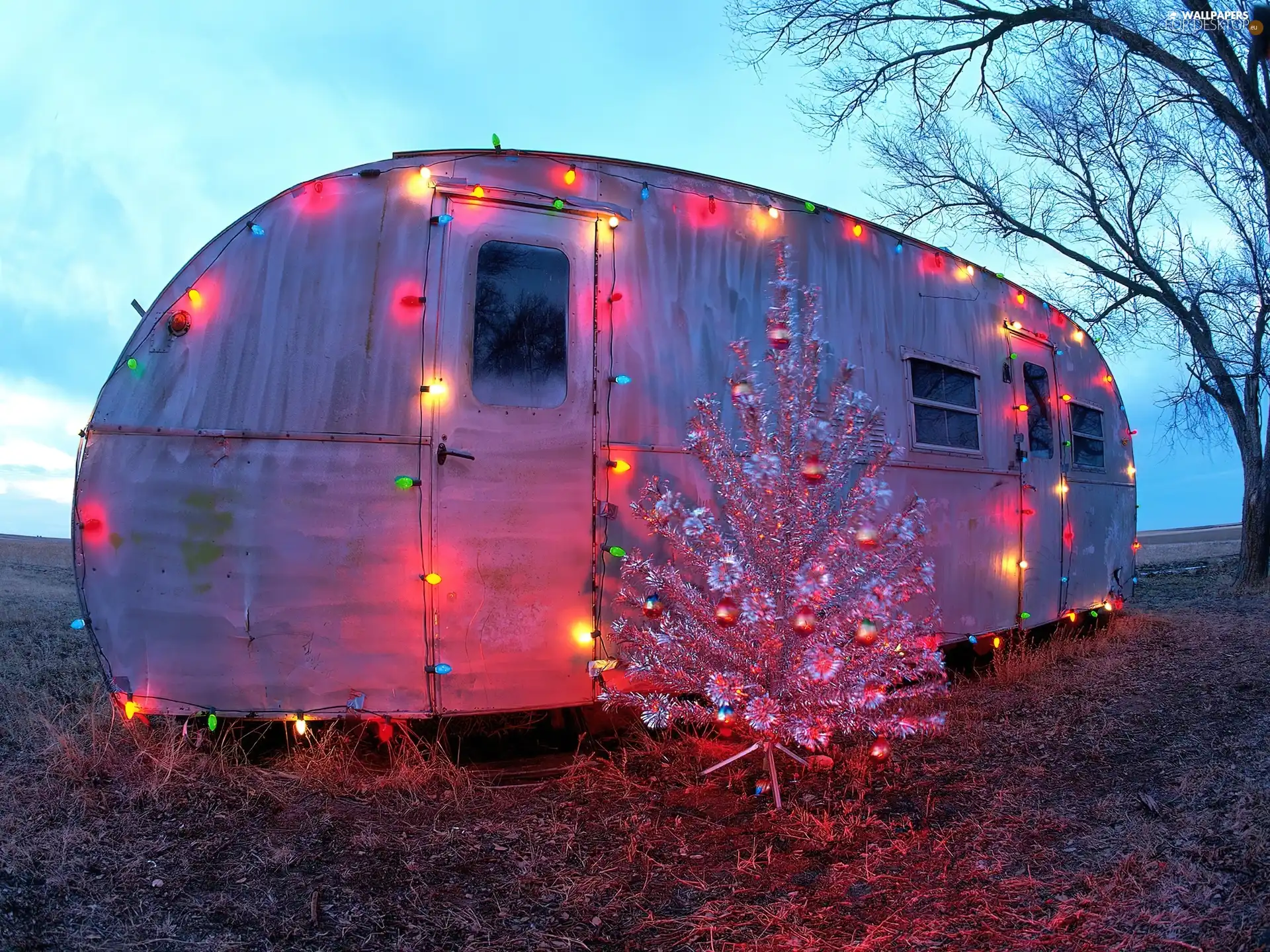Trailer, christmas tree, lights, Caravan