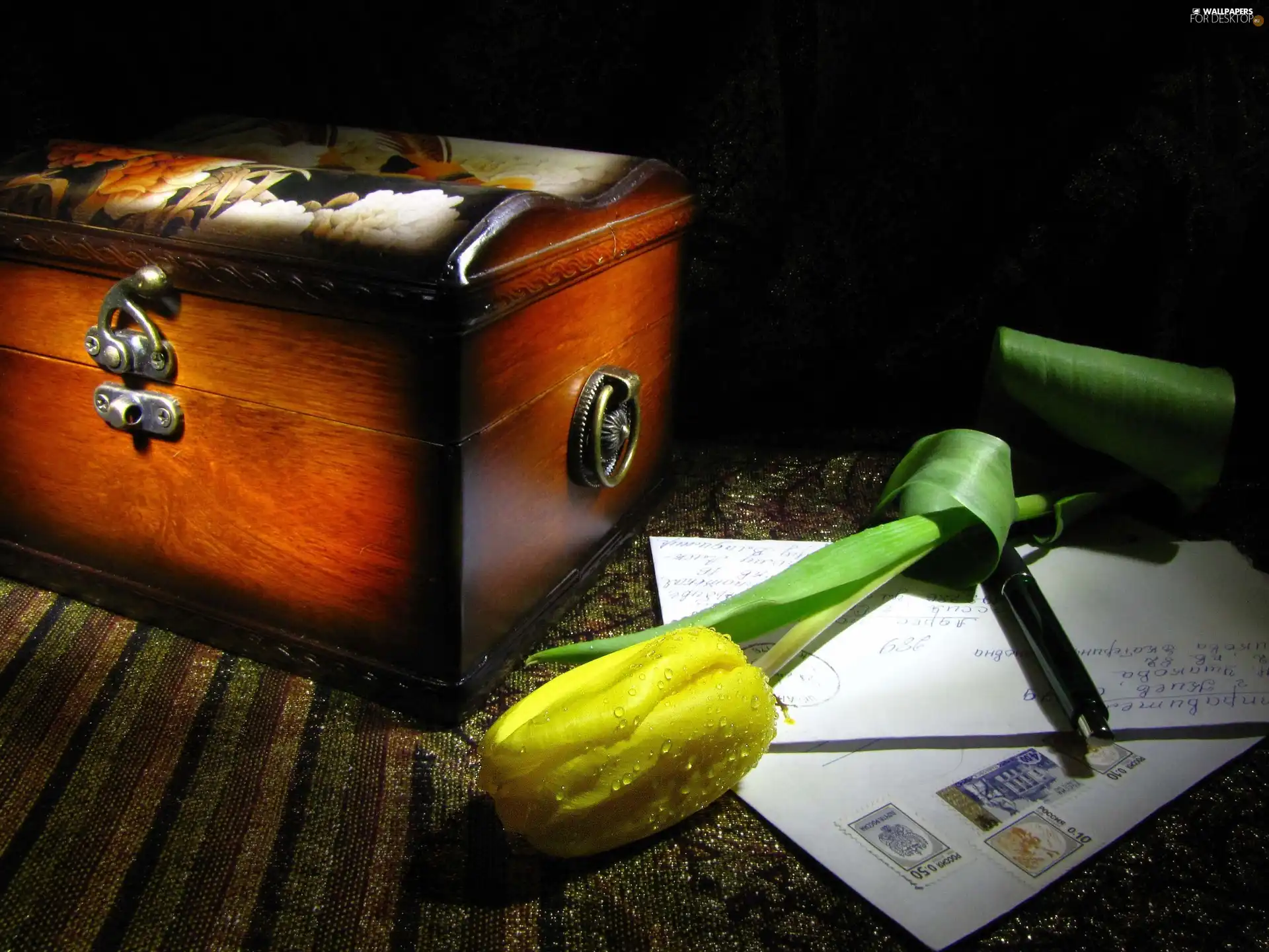 Yellow, trunk, list, tulip