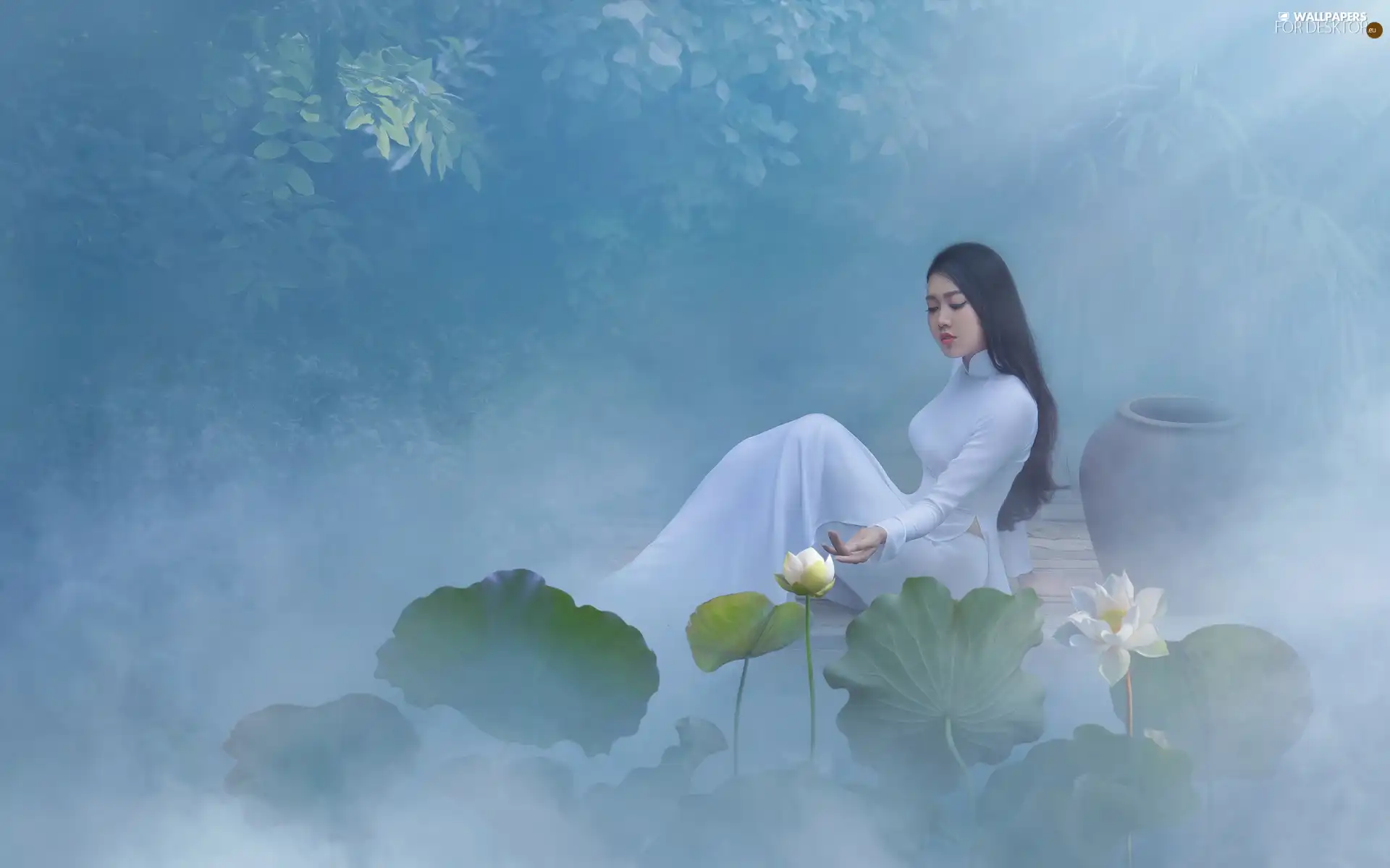Flowers, lotus, pitcher, Women, Fog