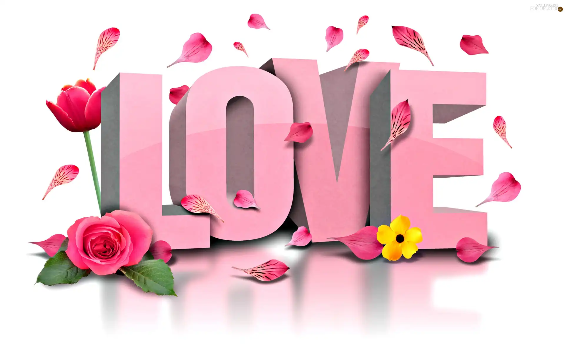 love, text, Flowers