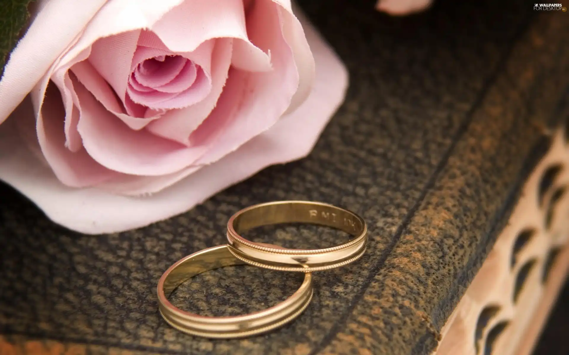 rose, rings, love, Two