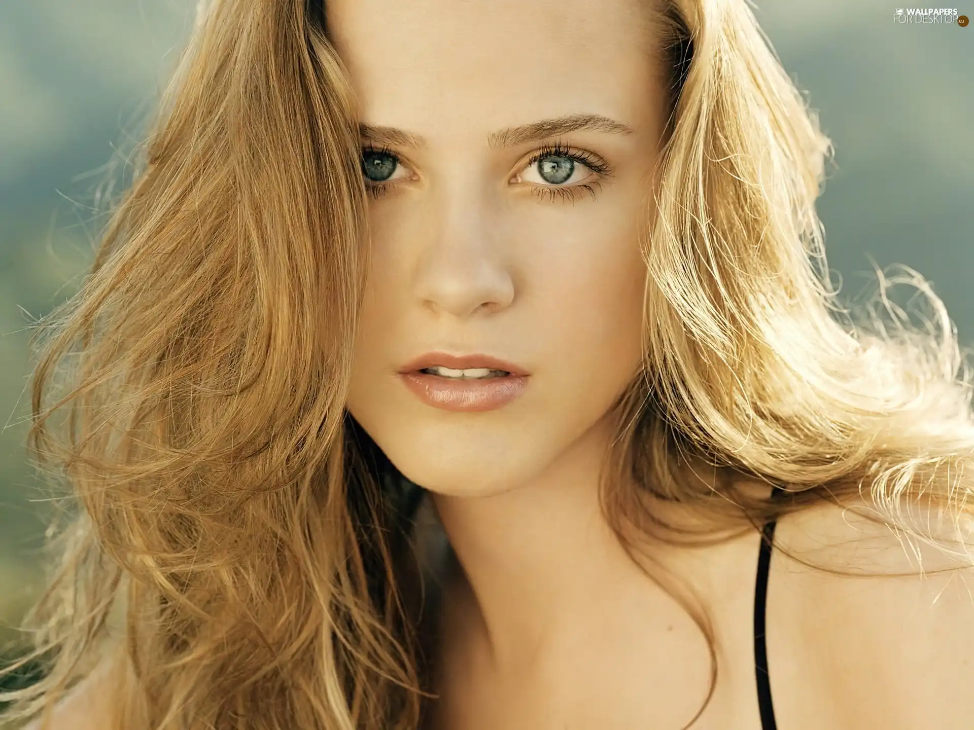 Blonde, Evan Rachel Wood, lovely