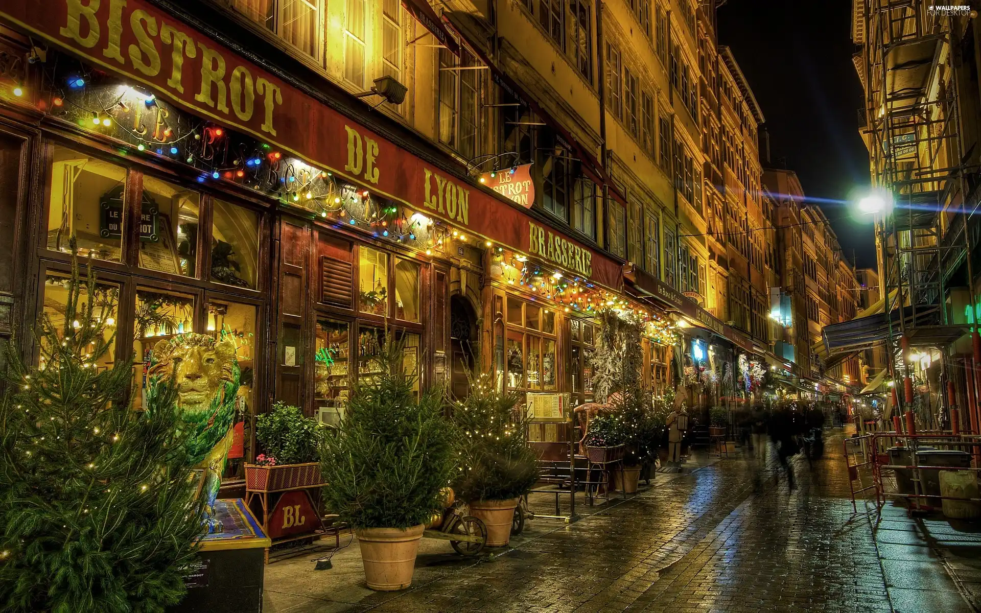 Lyon, France, Town, Night, Street