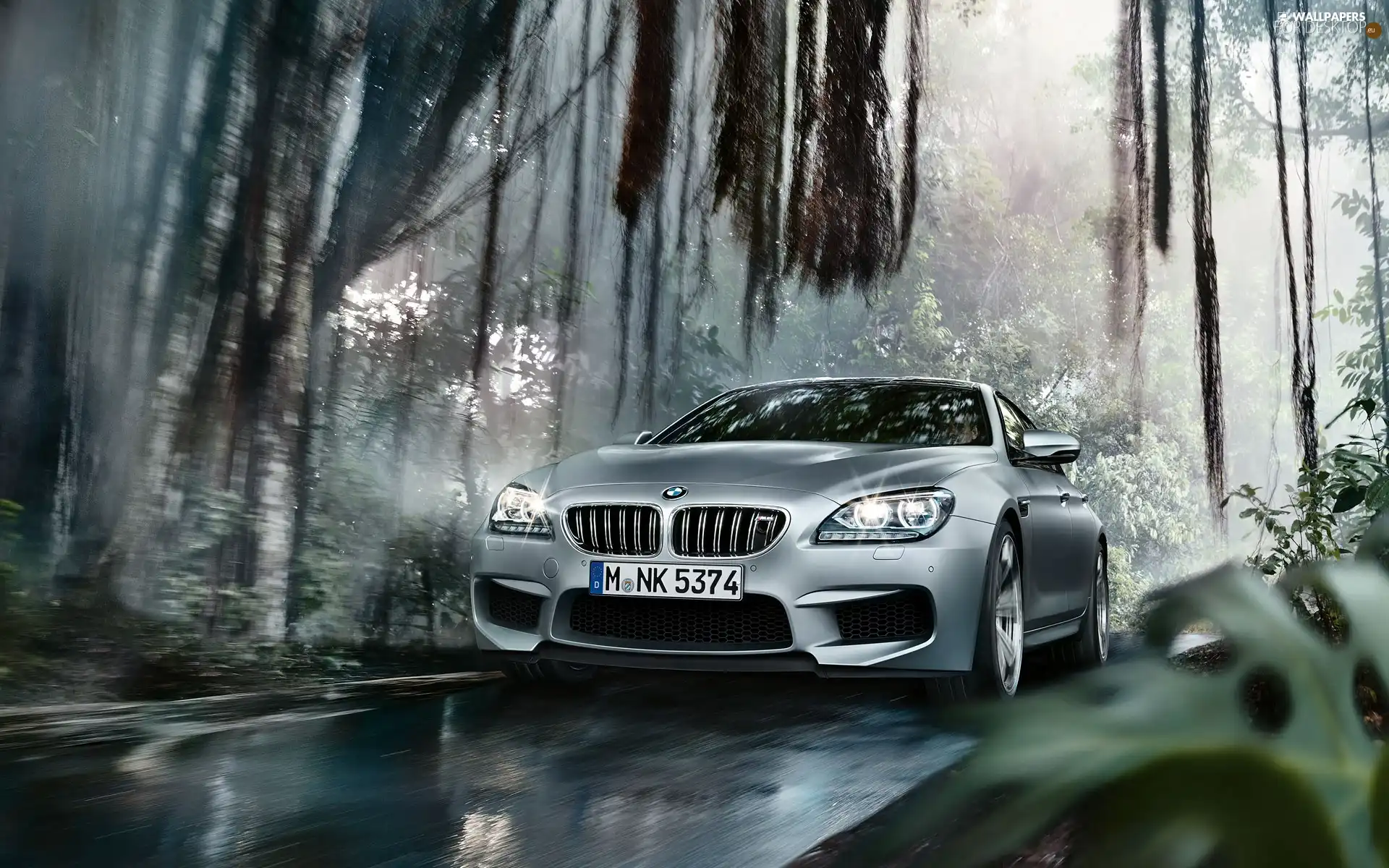 Bmw M6 GranCoupe