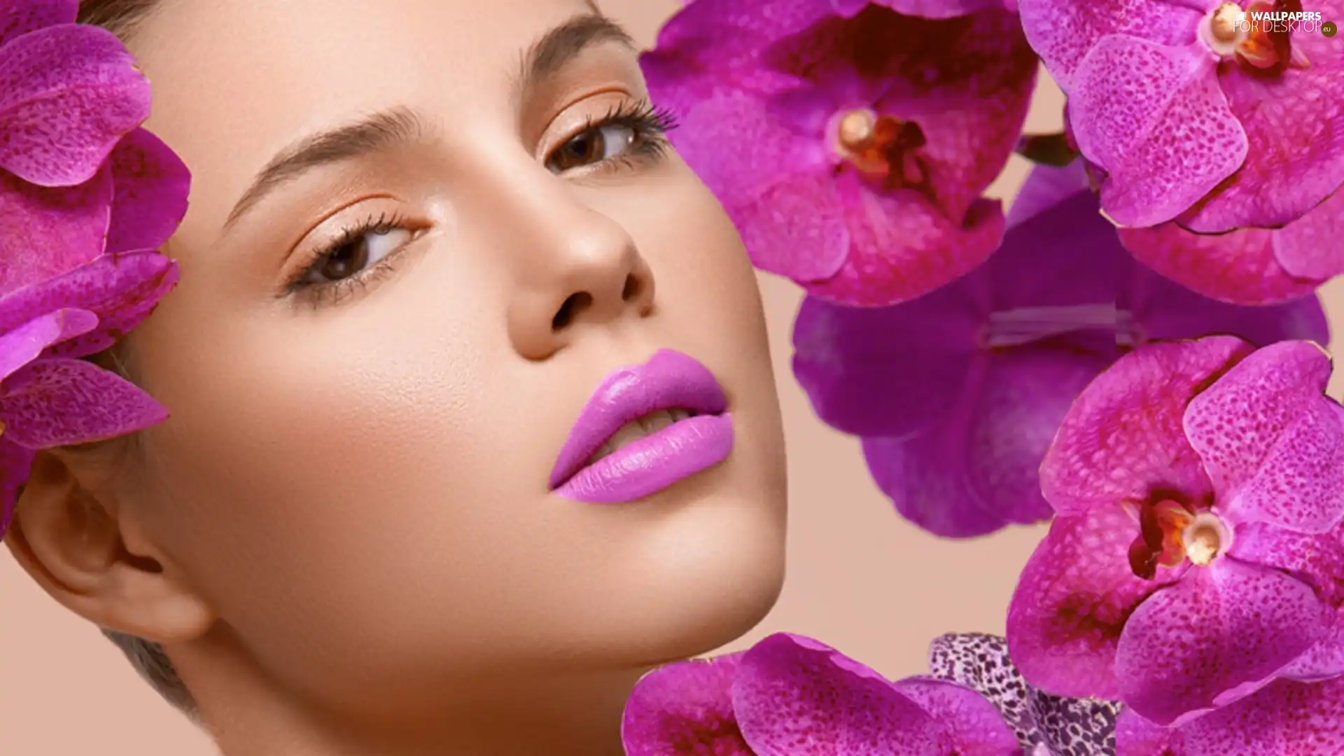 orchids, Women, make-up