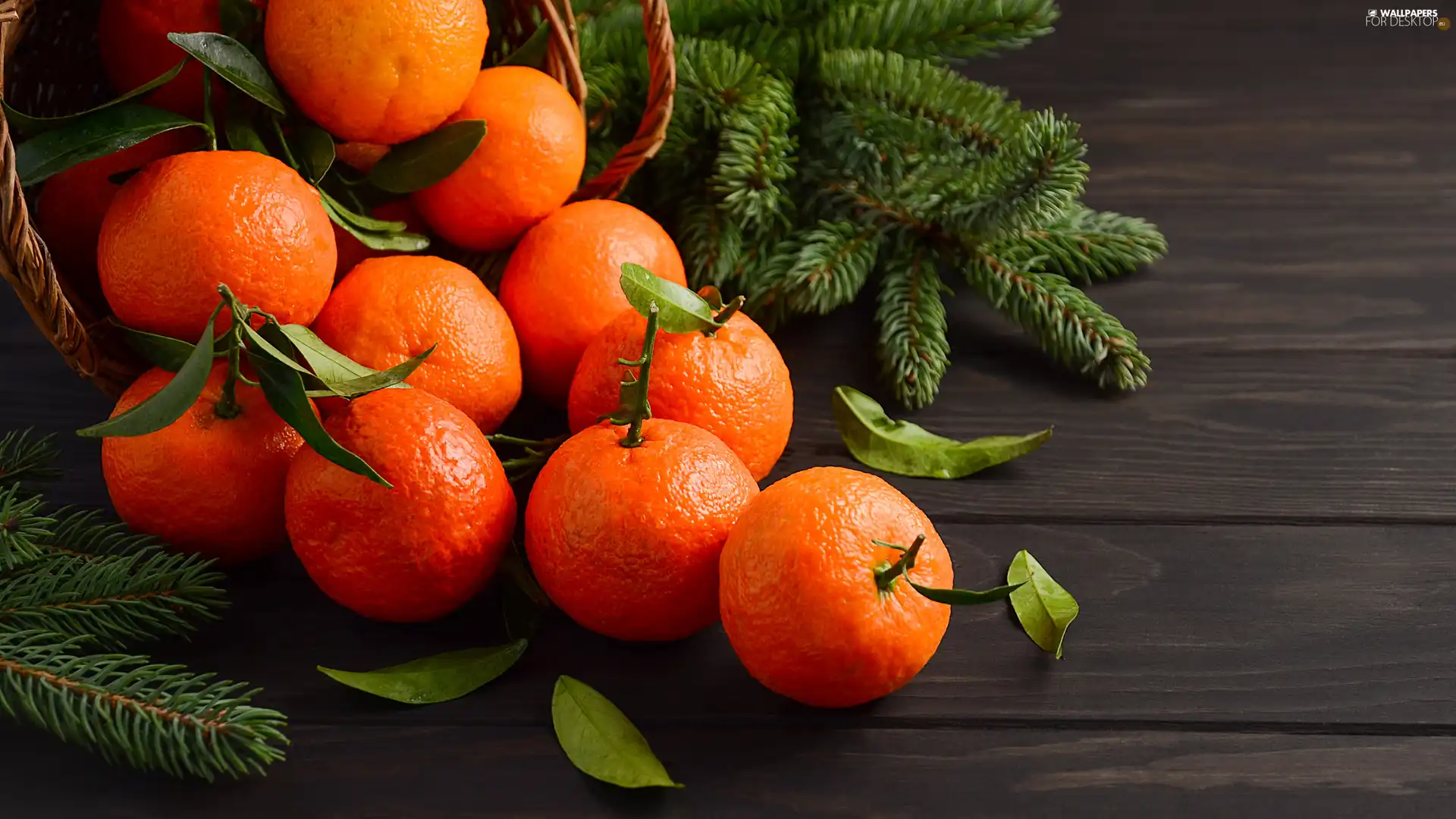 mandarin, Twigs