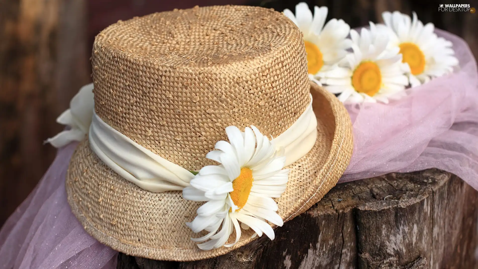 Hat, Margaretki