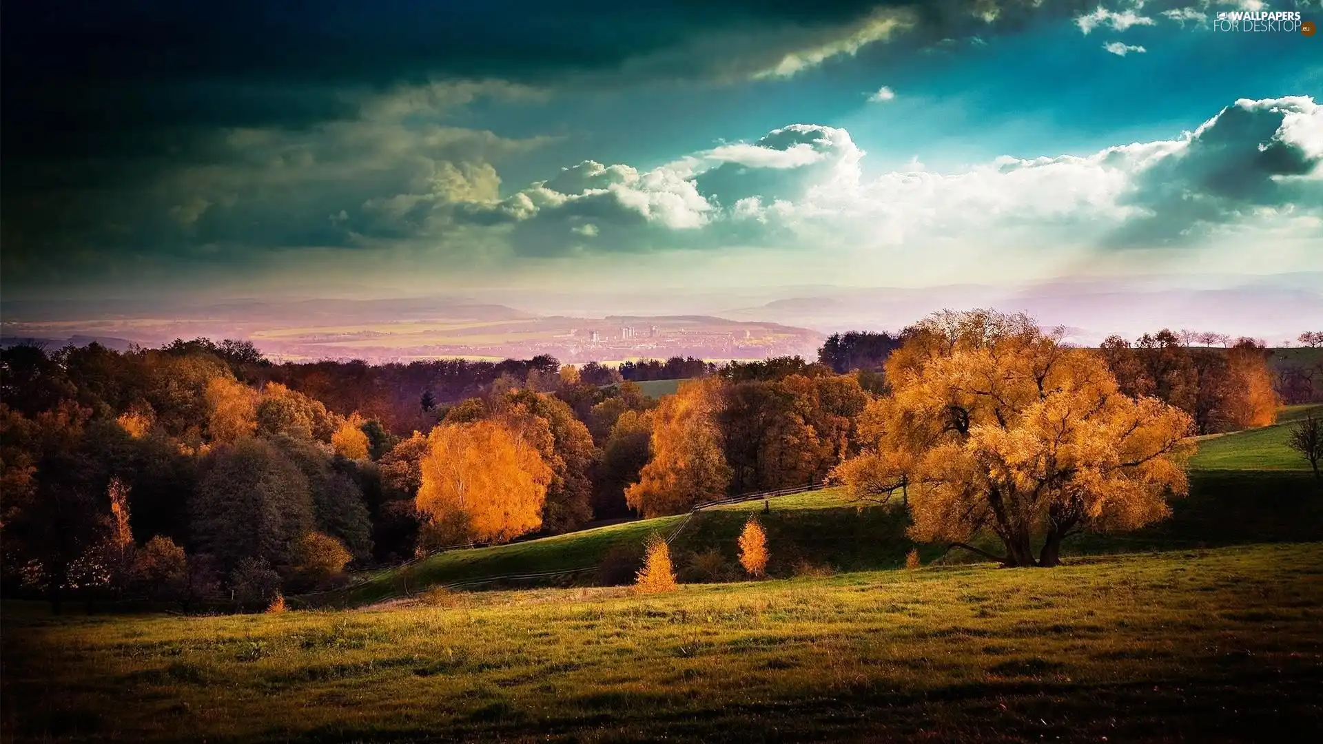 autumn, woods, Meadow, Mountains