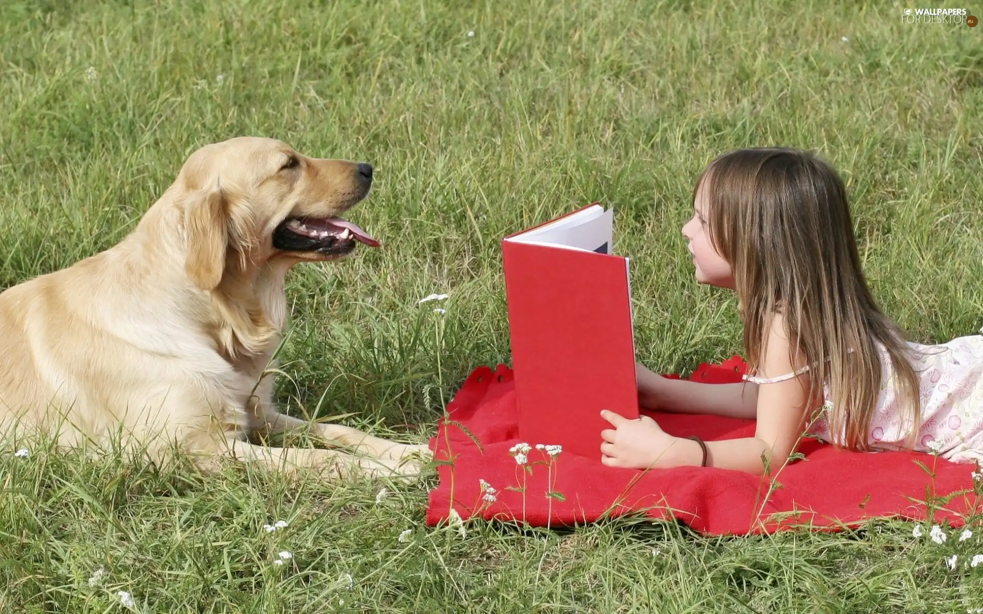 Meadow, girl, Book