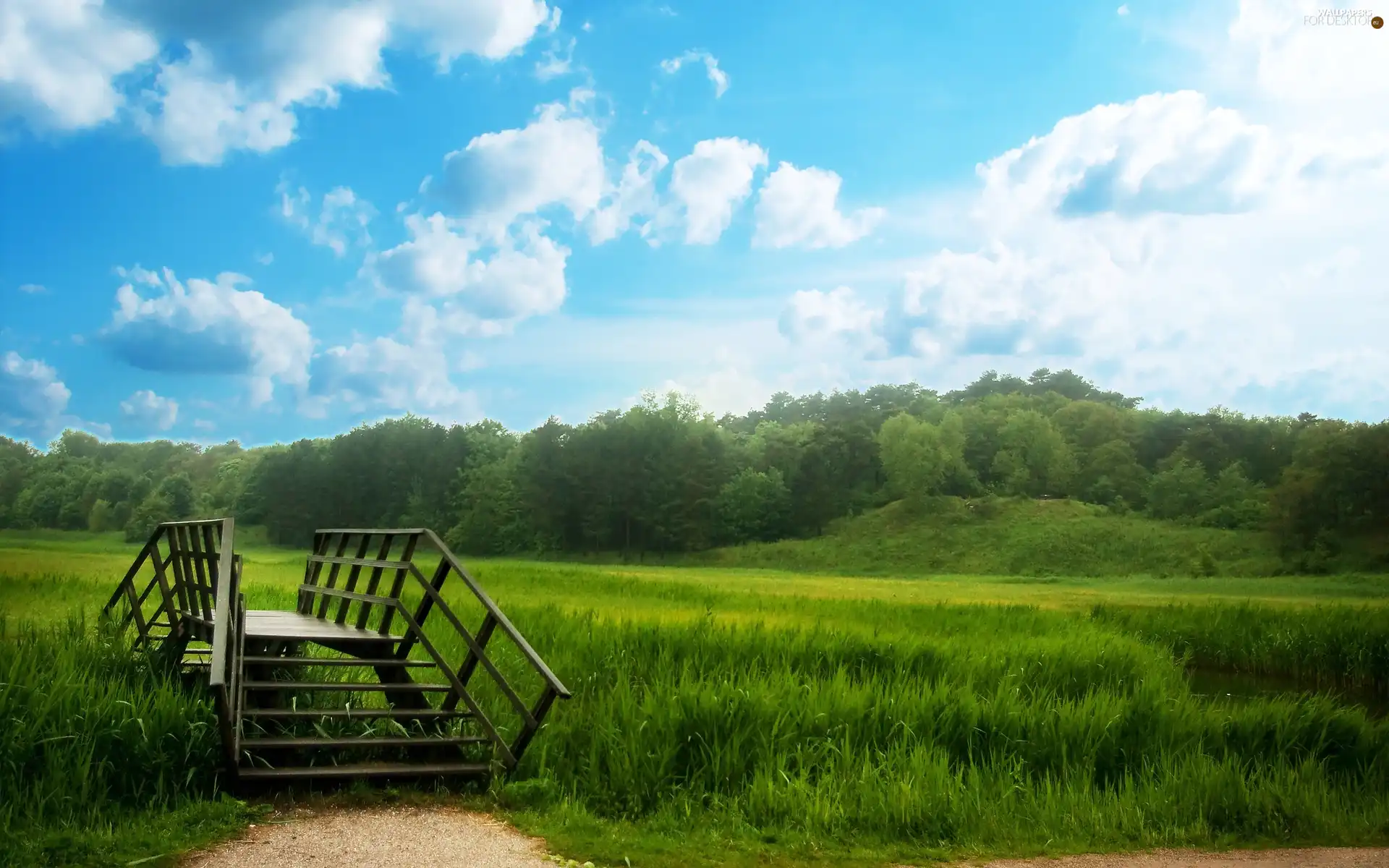 Meadow, wooden, bridges