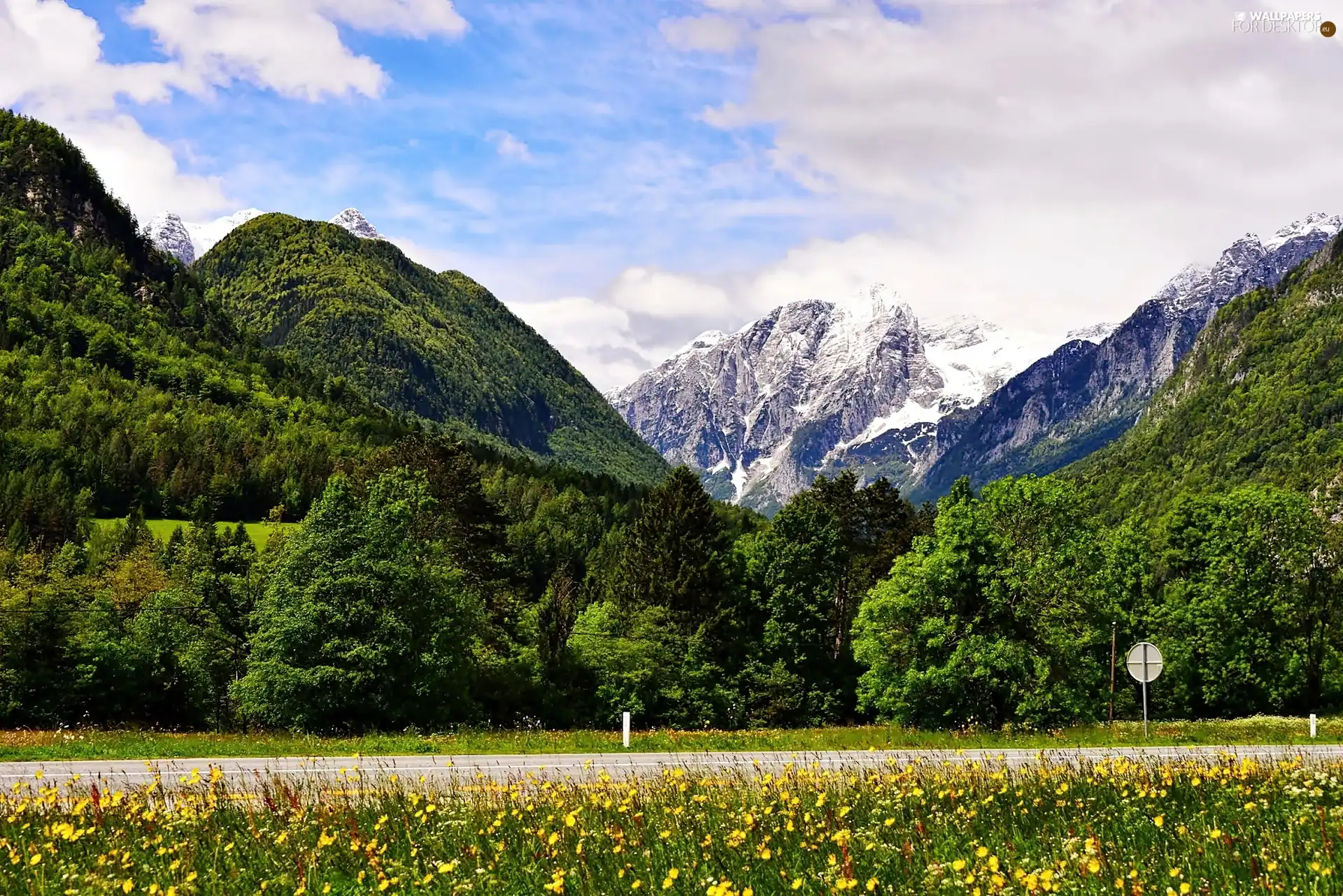 Meadow, clouds, forest, Way, Mountains