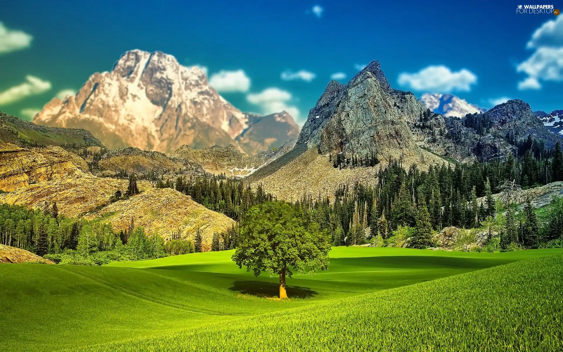Sky, trees, grass, viewes, Mountains, Meadow, clouds