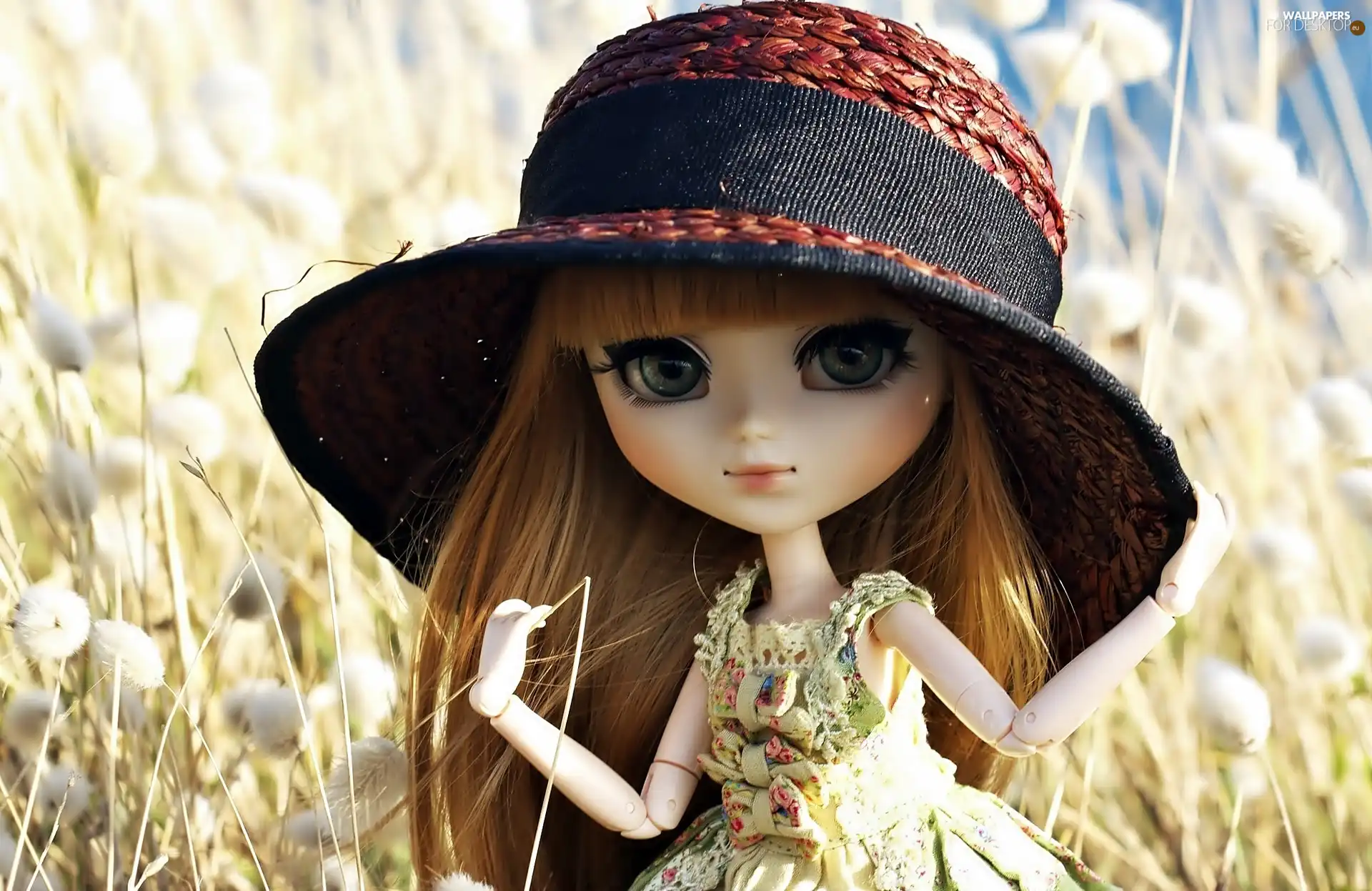 doll, Hat, Meadow, toy