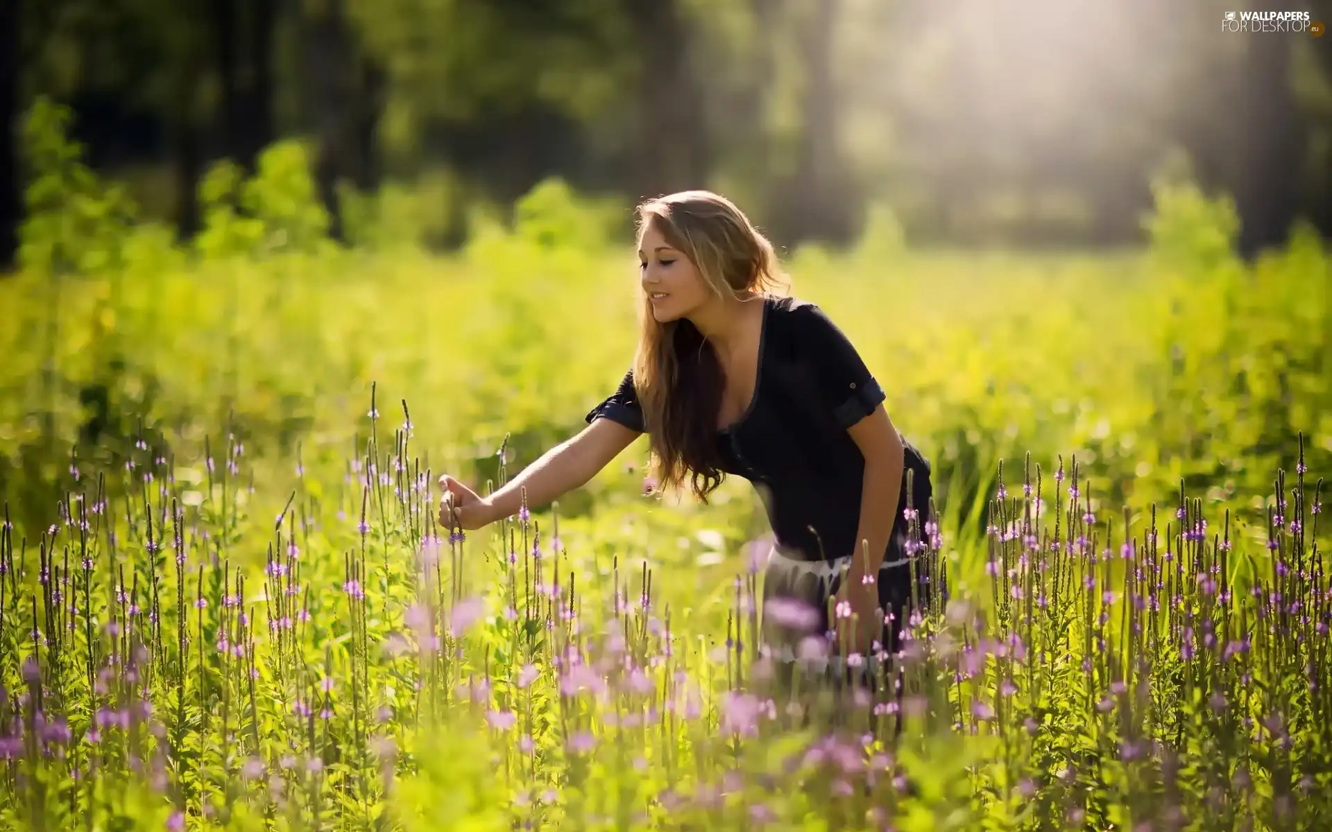 girl, Meadow