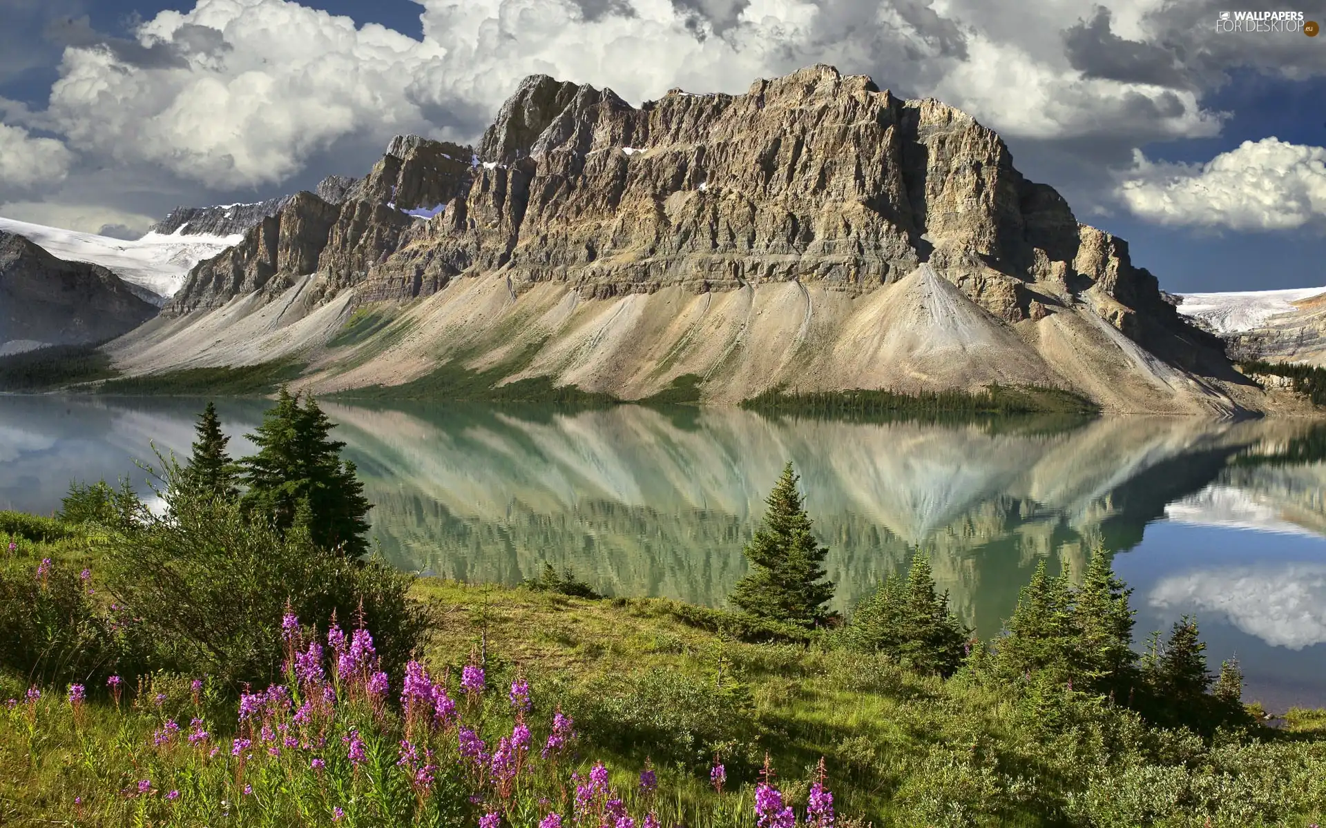 Meadow, Mountains, lake