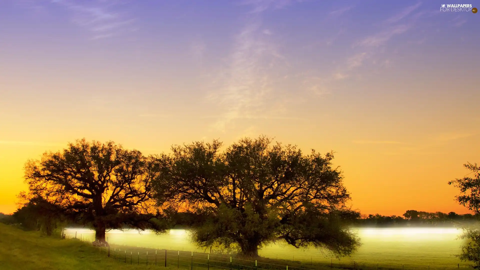 lake, viewes, Meadow, trees