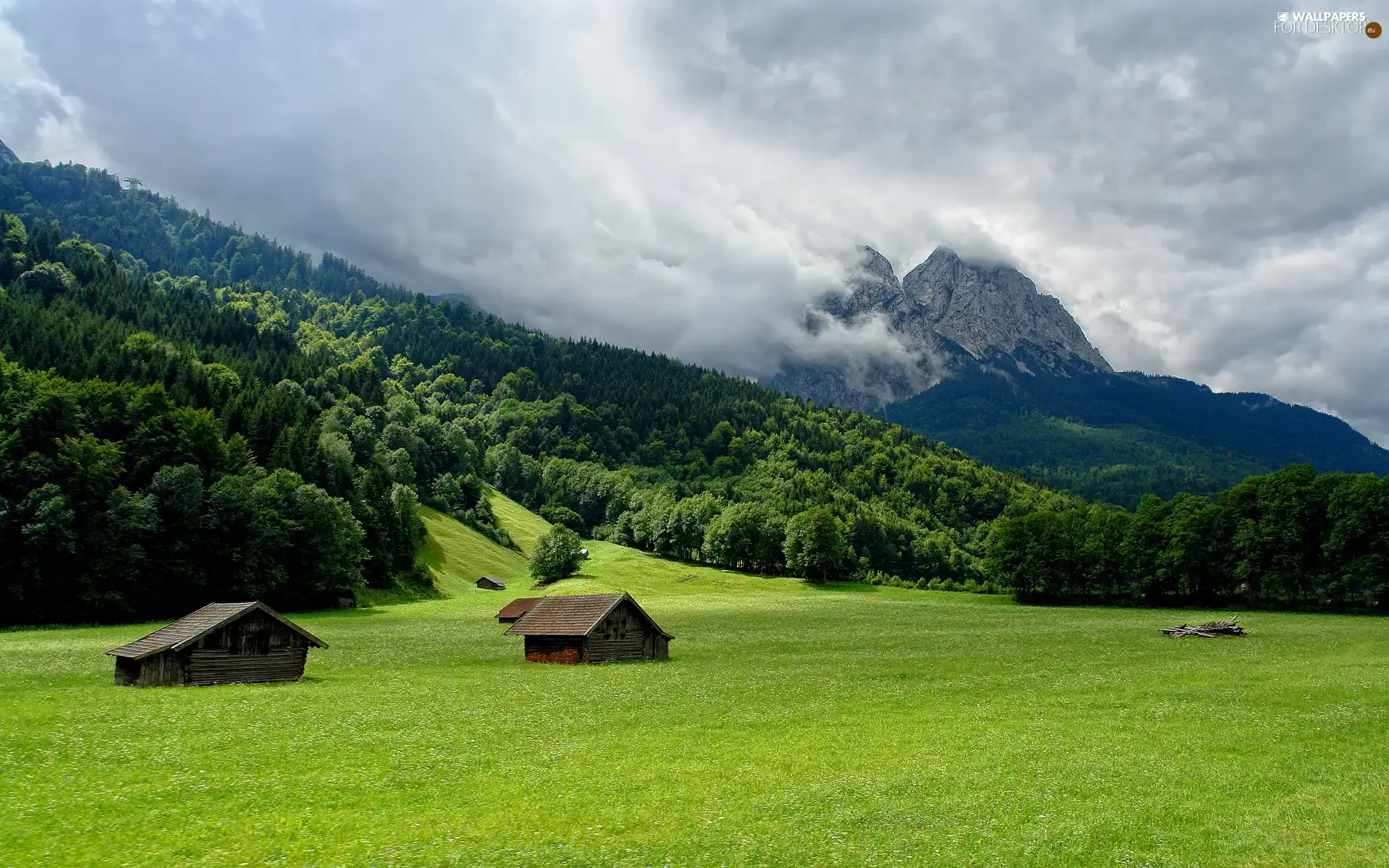 Meadow, Sheds, woods, clouds, Mountains