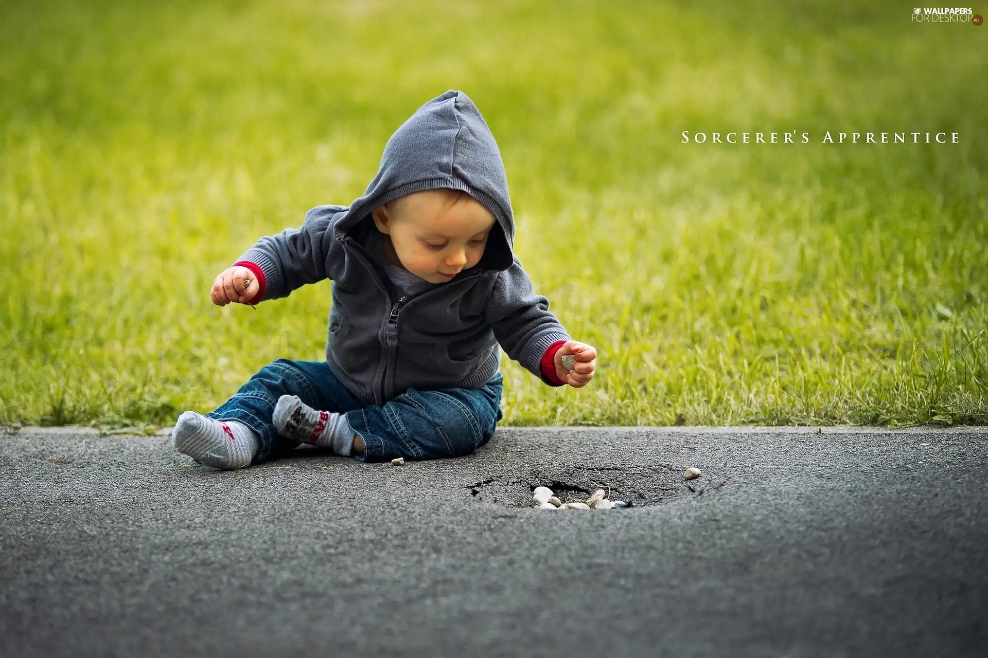 small, play, Meadow, boy