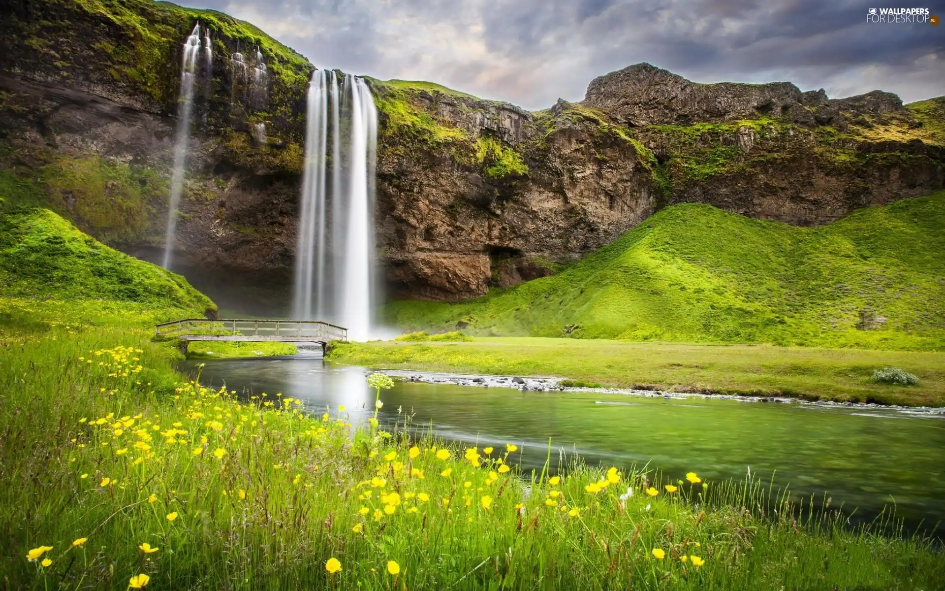 bridges, rocks, Flowers, brook, waterfall, Meadow, Spring