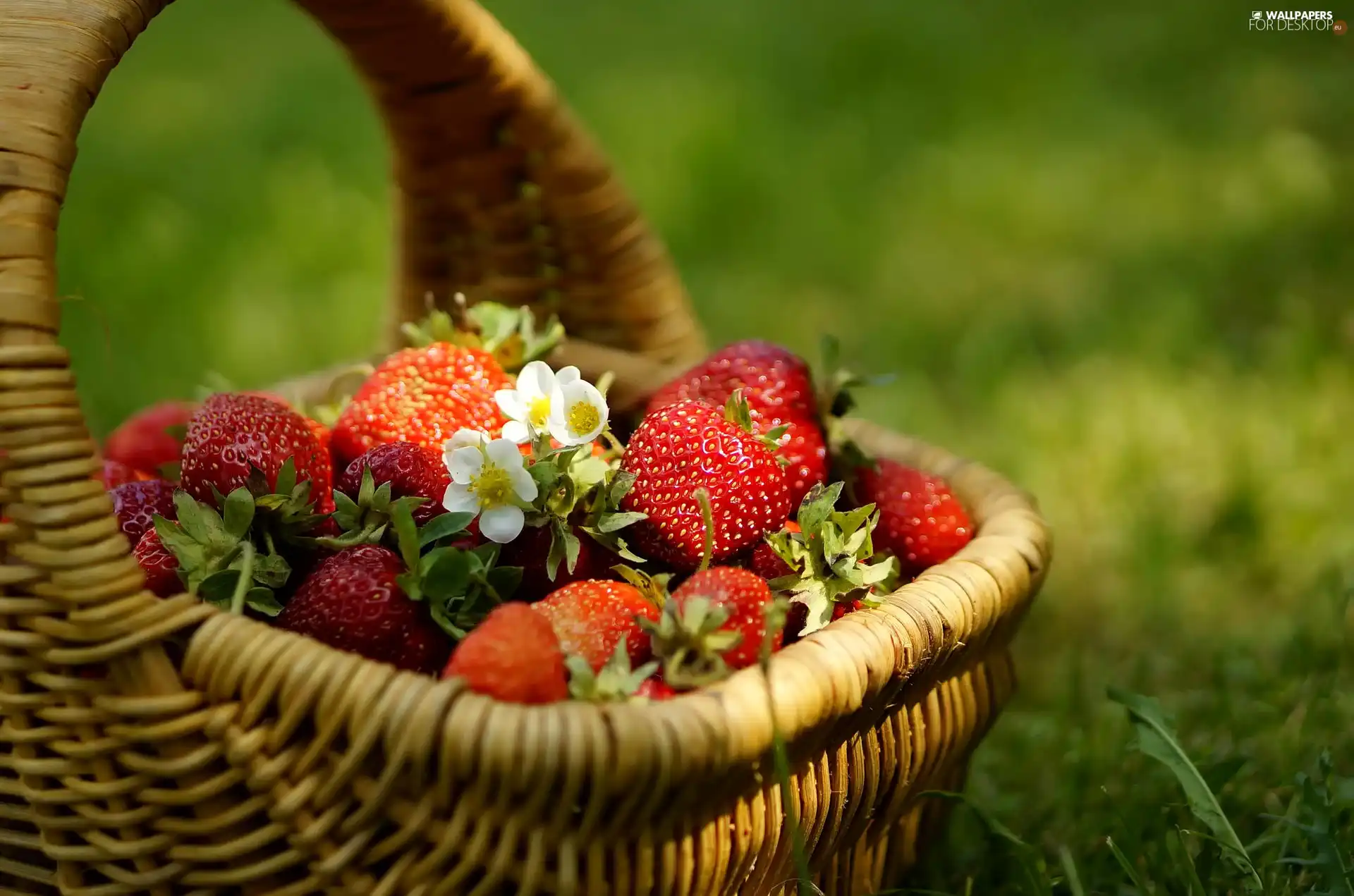 Meadow, basket, strawberries