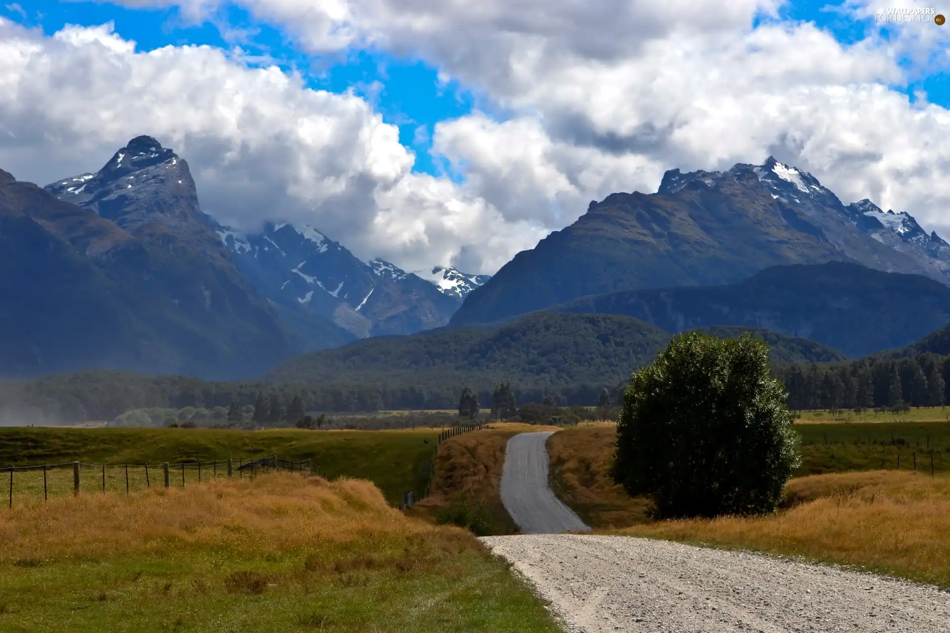 Meadow, Mountains, Way