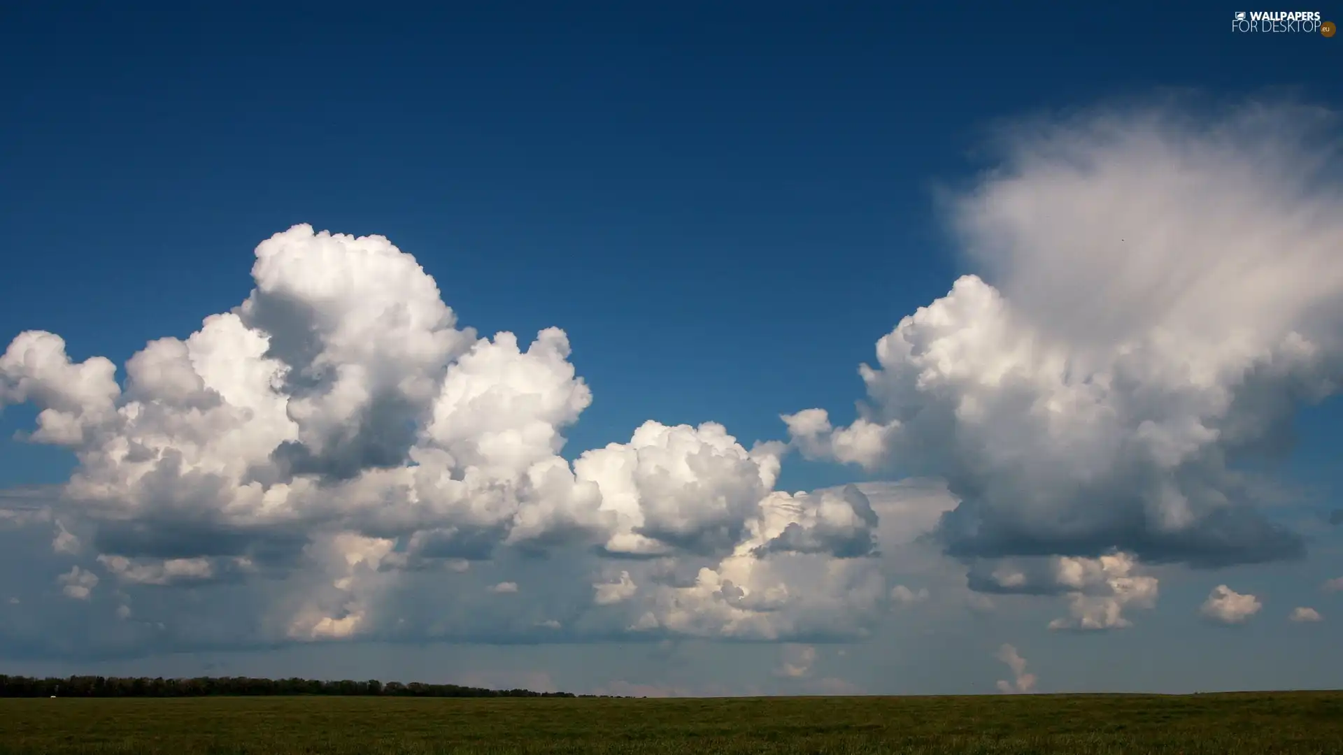 White, Cumulus, Meadow, clouds