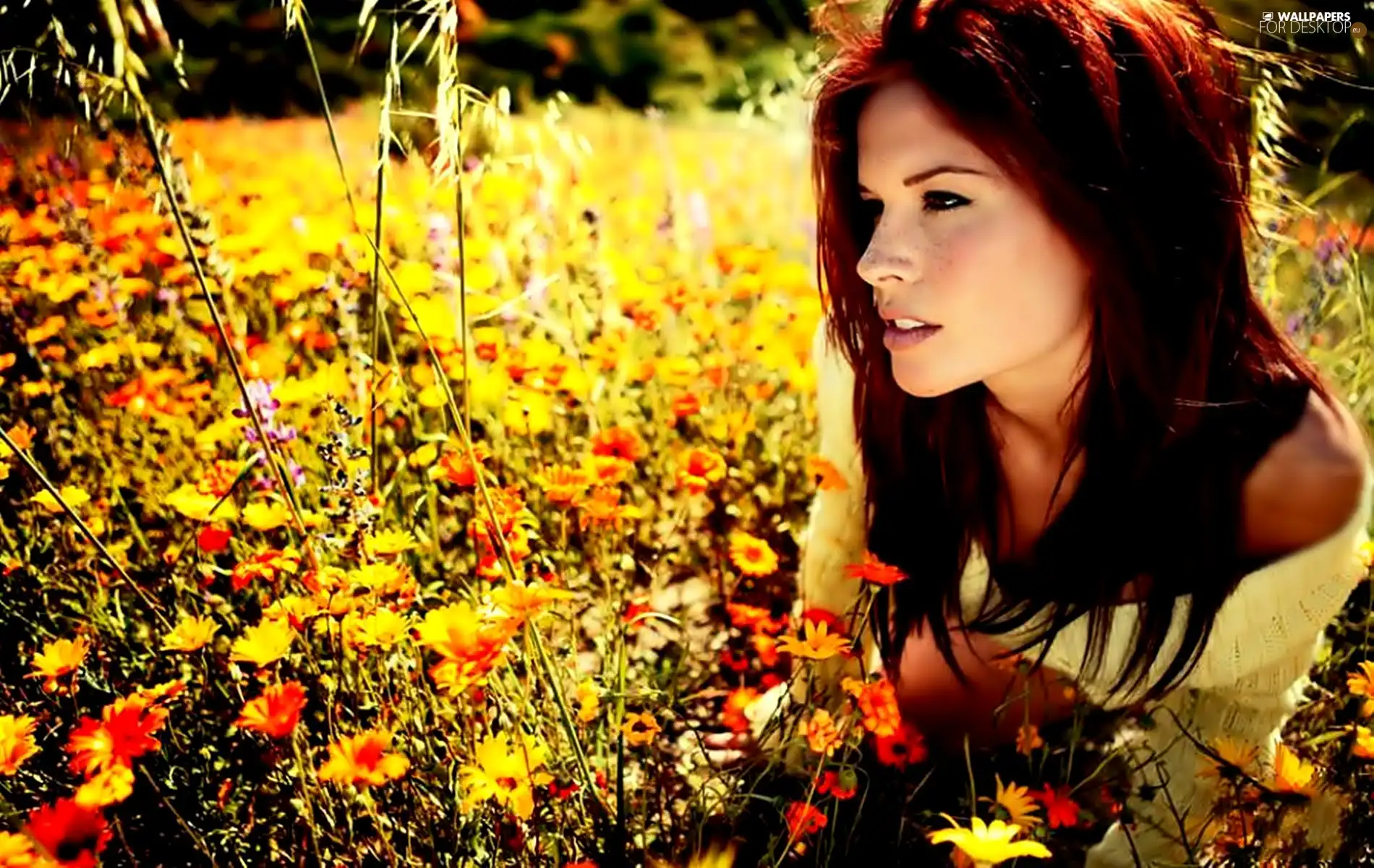 Women, Meadow