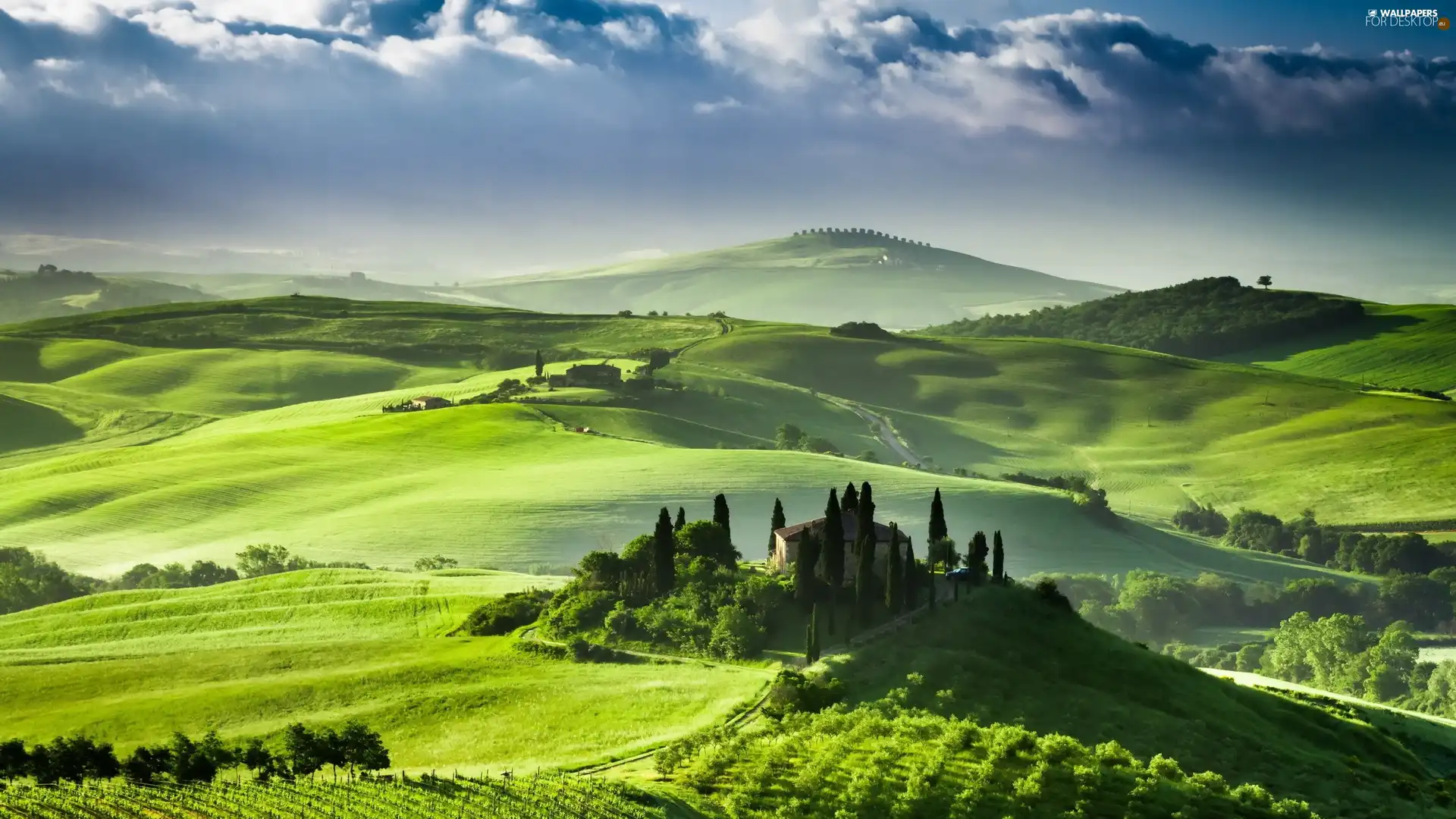 medows, Mountains, field