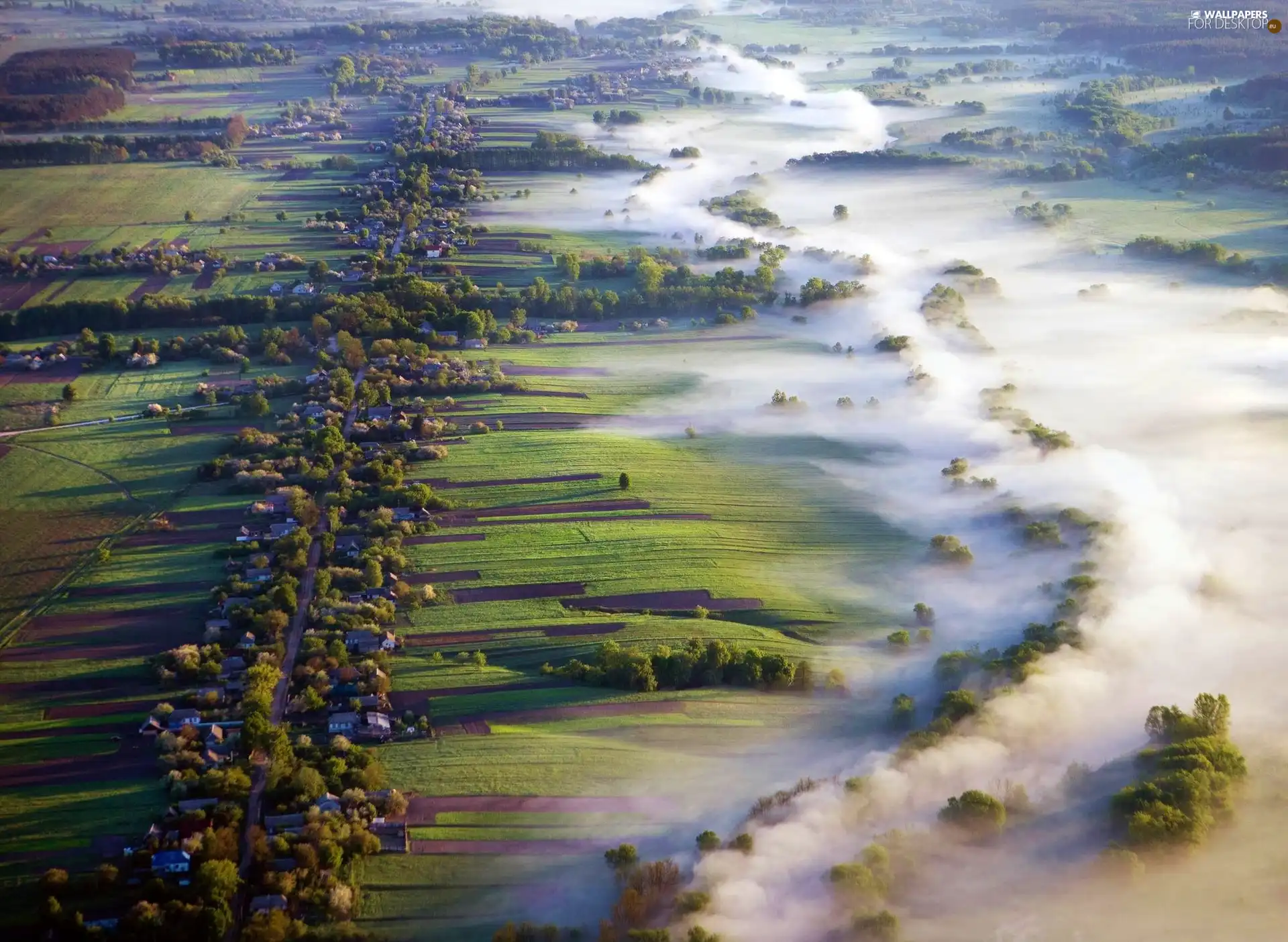 medows, panorama, Fog