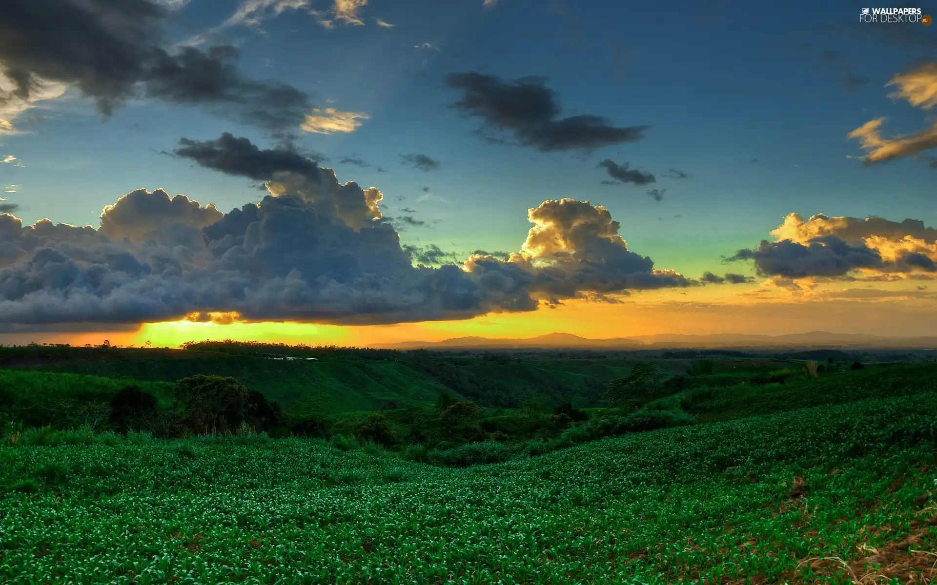 medows, clouds, Mountains