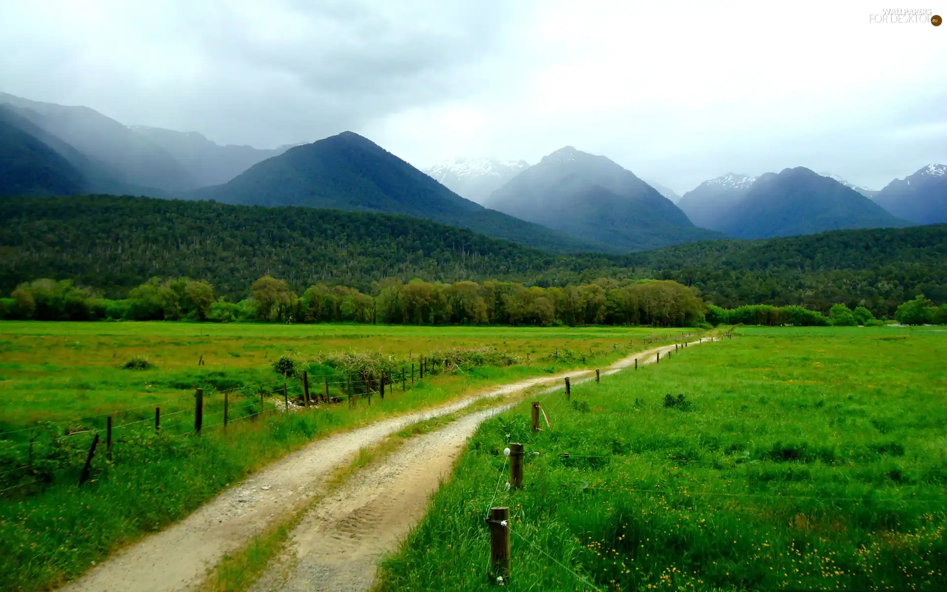 Mountains, Way, medows, Field