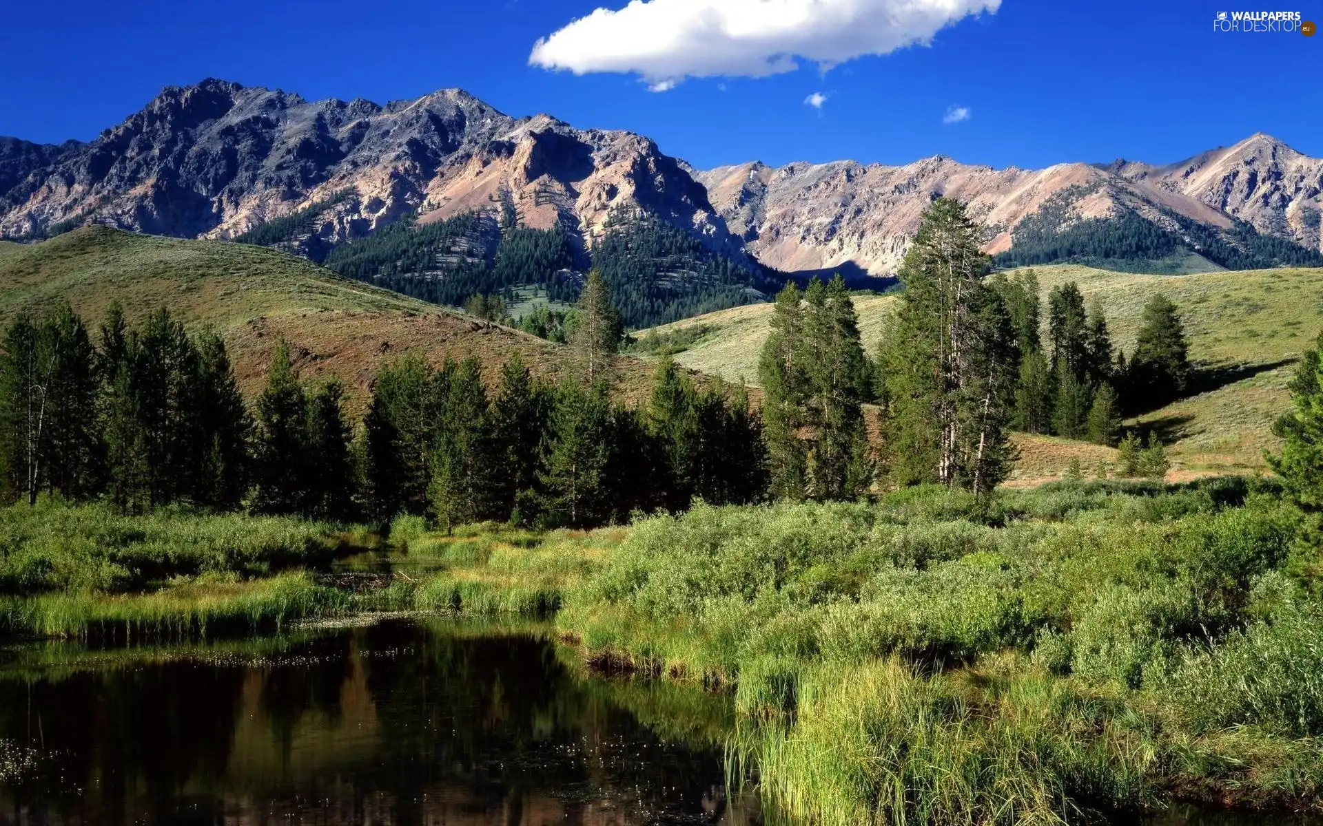 medows, Mountains, woods