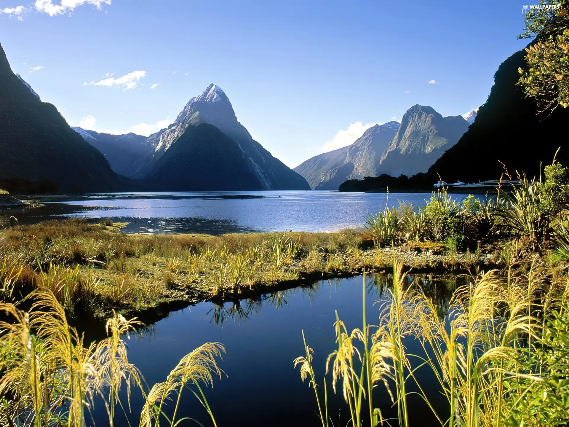 Milford, New Zeland, Mountains, VEGETATION, lake