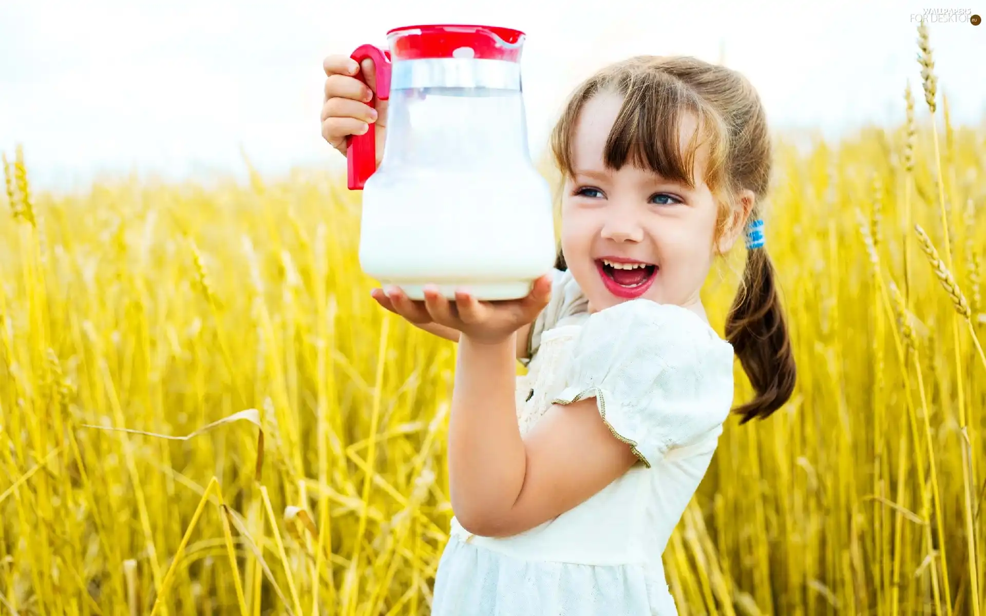 girl, jug, milk, corn